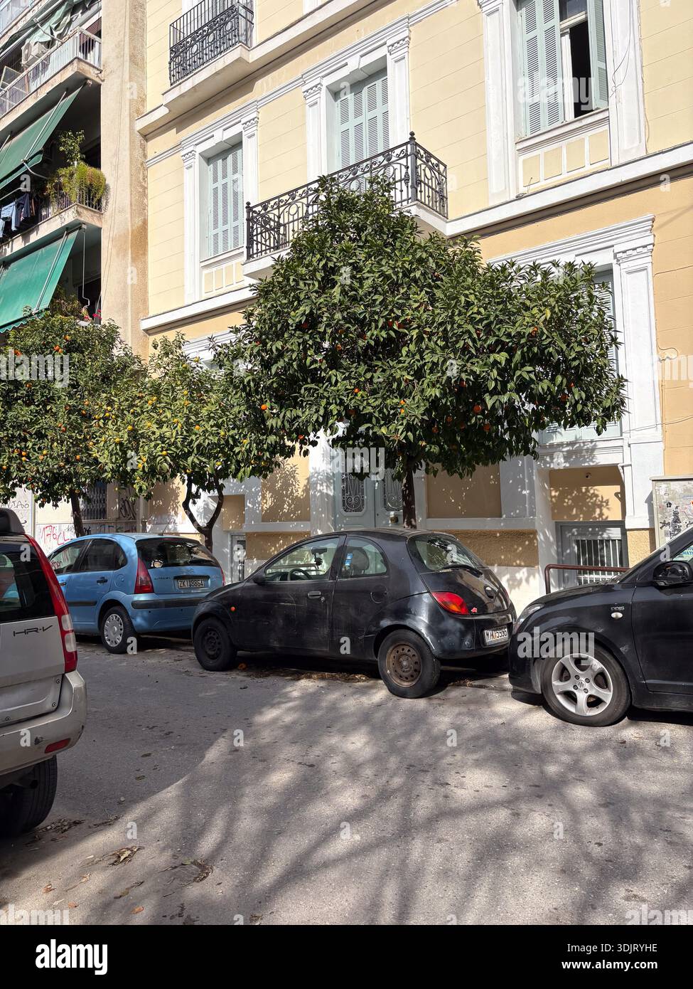 Alberi di agrumi x aurantium (Nerantzia) che portano frutti lungo una strada di Atene, Grecia, accanto a un condominio neoclassico con balconi decorativi Foto Stock