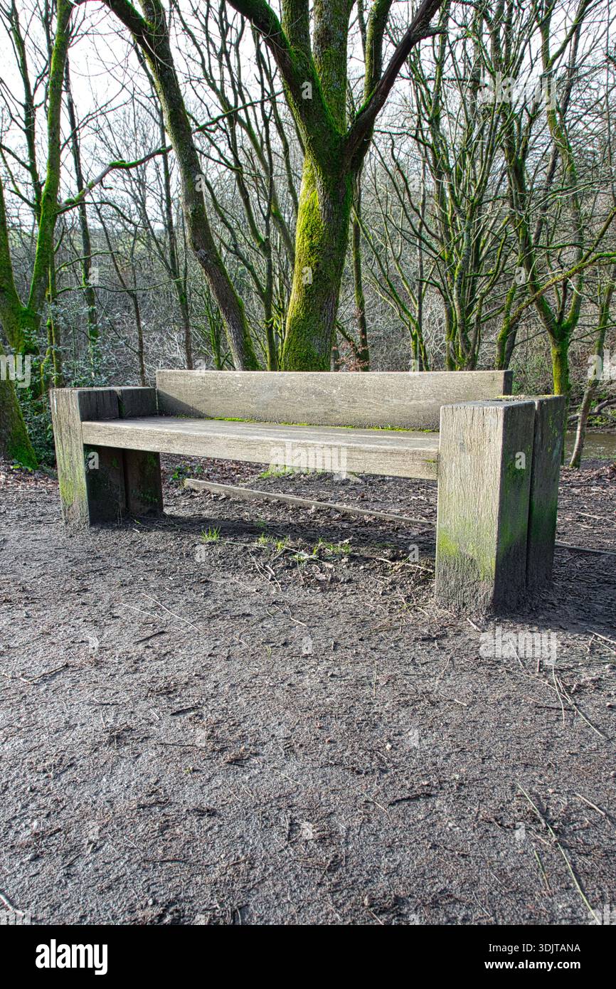 Panca rustica in legno nel Burrs Country Park, Bury, Regno Unito Foto Stock