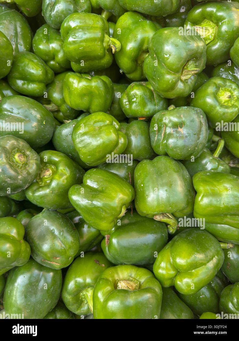 Peperone verde o capico in bazar di verdure. Questa foto è stata scattata da chittagong, Bangladesh. Foto Stock