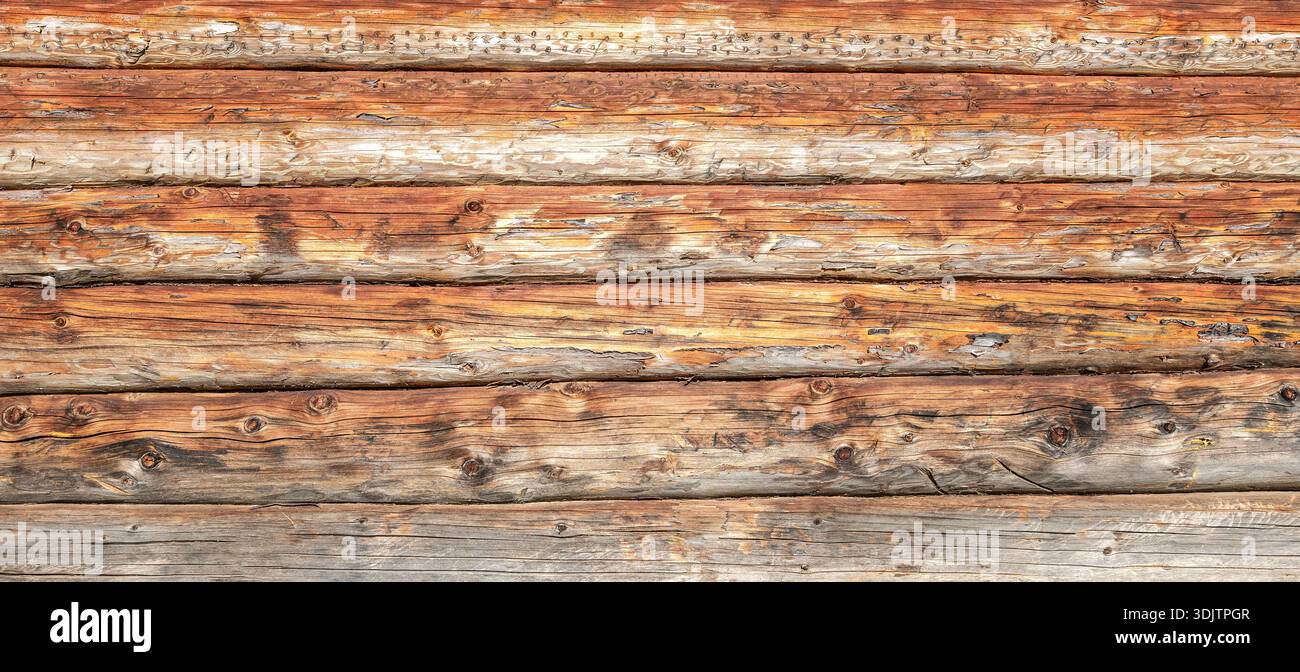 Sfondo creativo di tronchi di legno con motivo naturale. Struttura del legno utilizzata come sfondo naturale Foto Stock