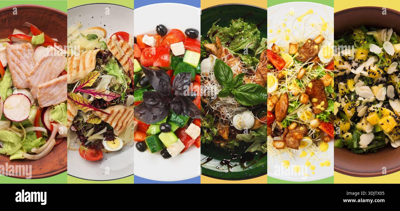 Piatti colorati di insalate fresche disposte in una fila ordinata con una varietà di ingredienti e condimenti Foto Stock