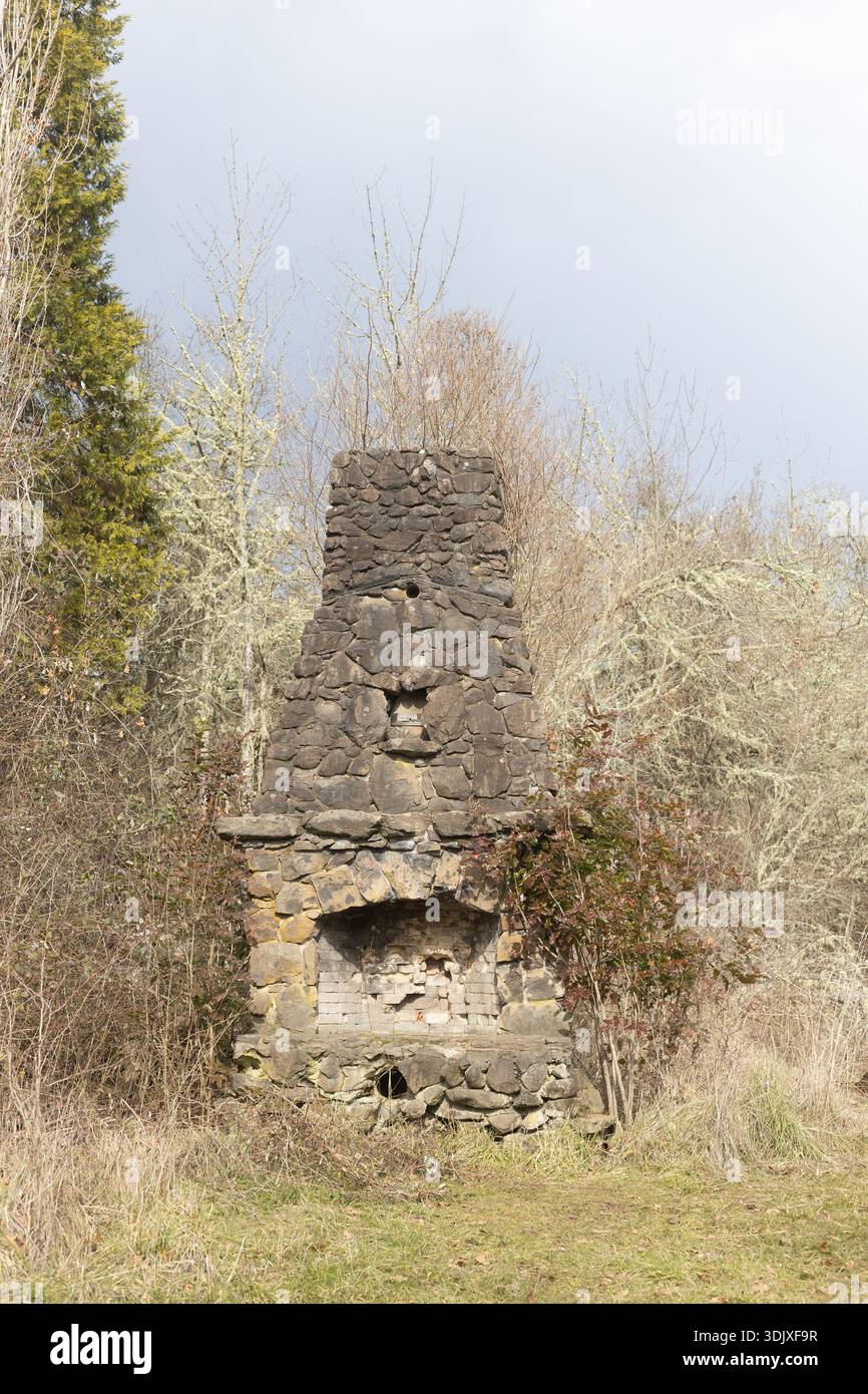 Rovine di un camino di pietra e di un camino di una vecchia casa, in piedi da soli in un campo. Foto Stock