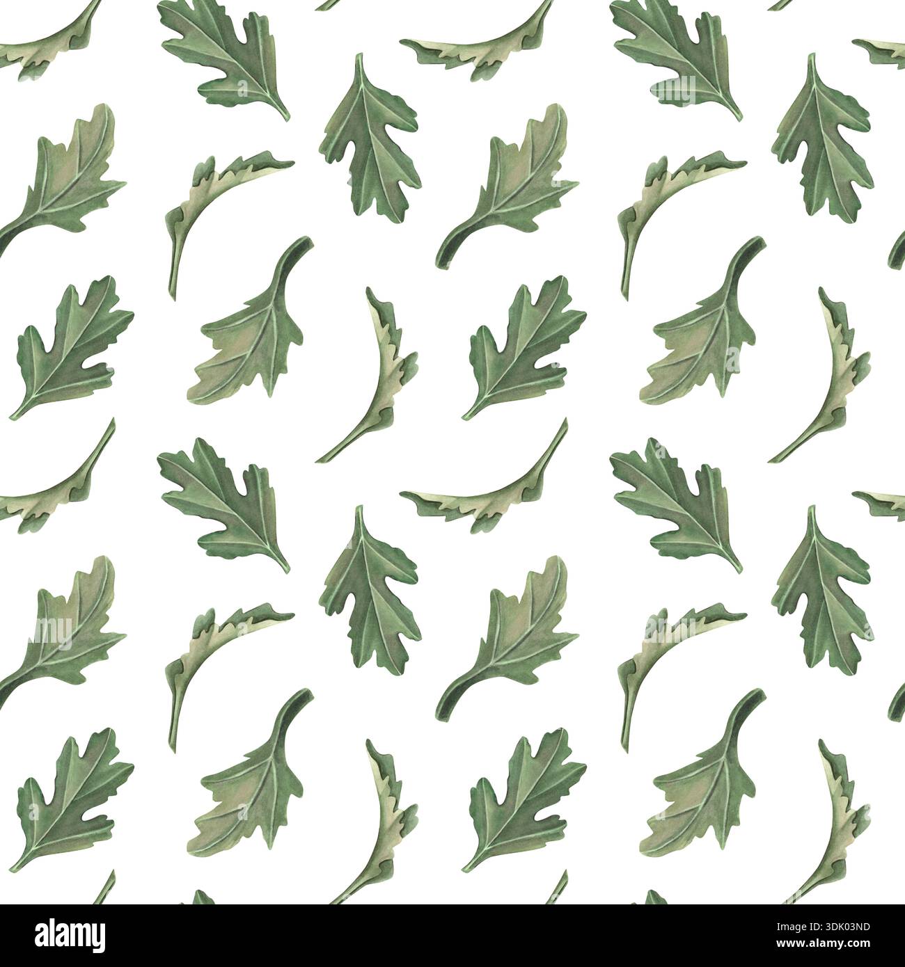 Motivo senza cuciture con foglie di crisantemo. Illustrazione botanica ad acquerello dipinta a mano isolata su bianco per tessuti, imballaggi, cancelleria, pareti Foto Stock