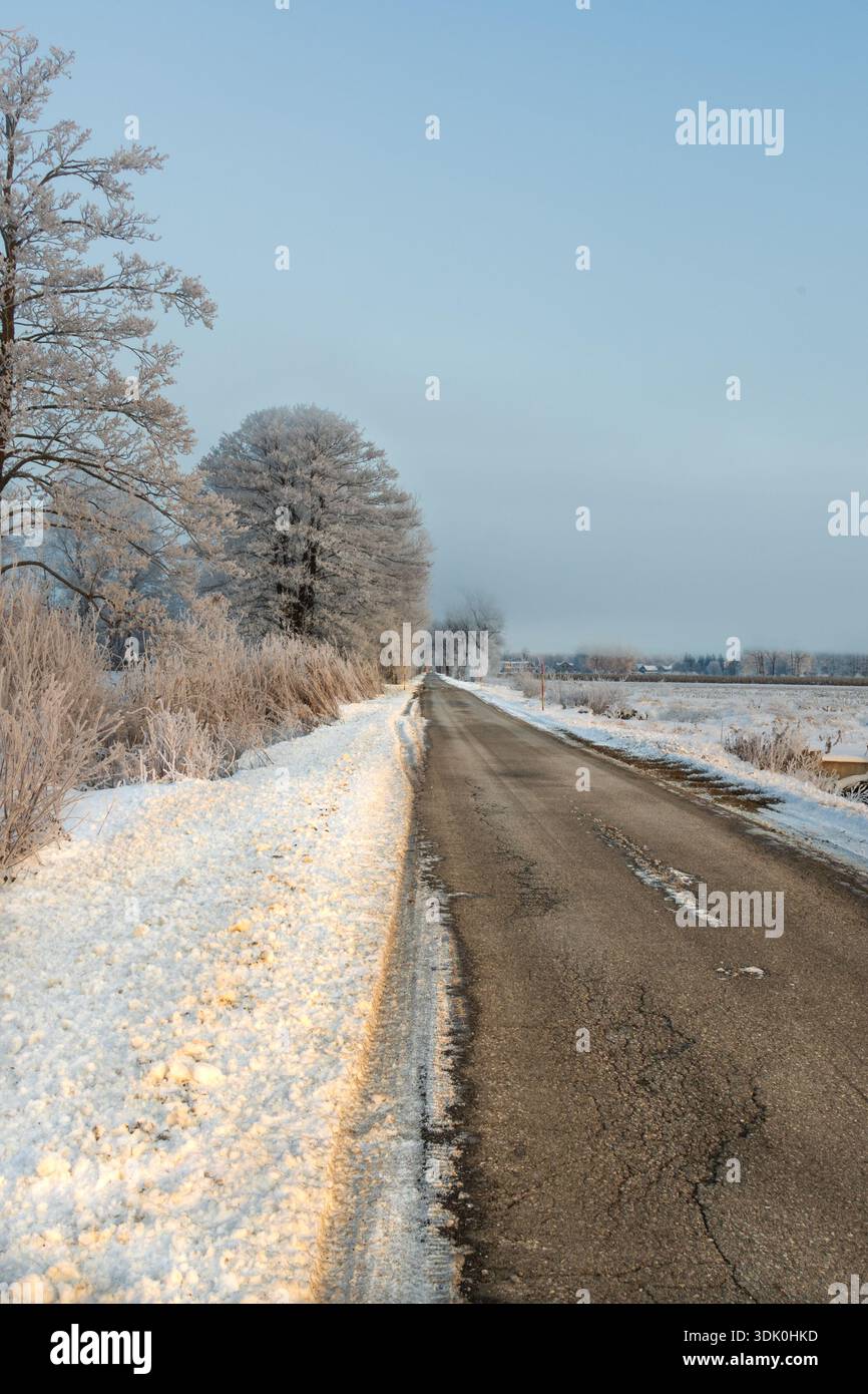 strada rurale innevata con albero invernale ghiacciato Foto Stock