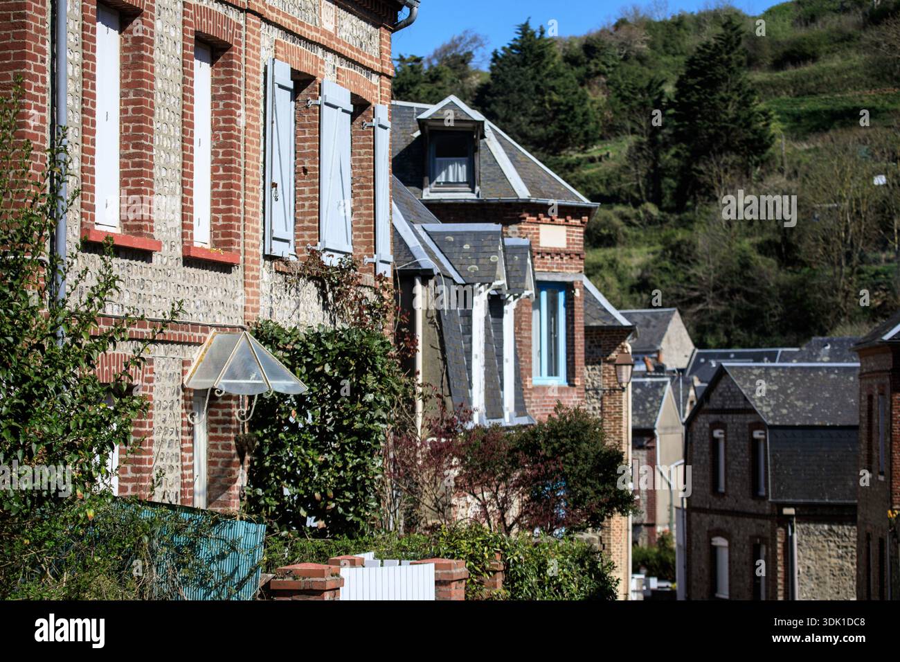 Francia, regione della Normandia, dipartimento Senna-marittimo, Yport, rue Jean Feuilloley, facciate di case tradizionali (architettura tipica) Foto Stock