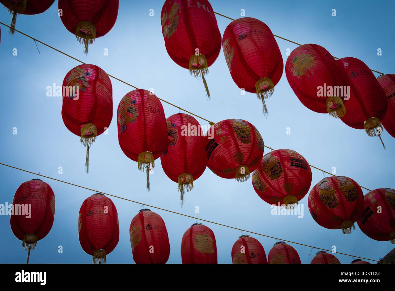 File di vivaci lanterne di carta rossa cinese con accenti dorati sospese contro un cielo blu limpido, creando un'esposizione festosa e tradizionale. Foto Stock