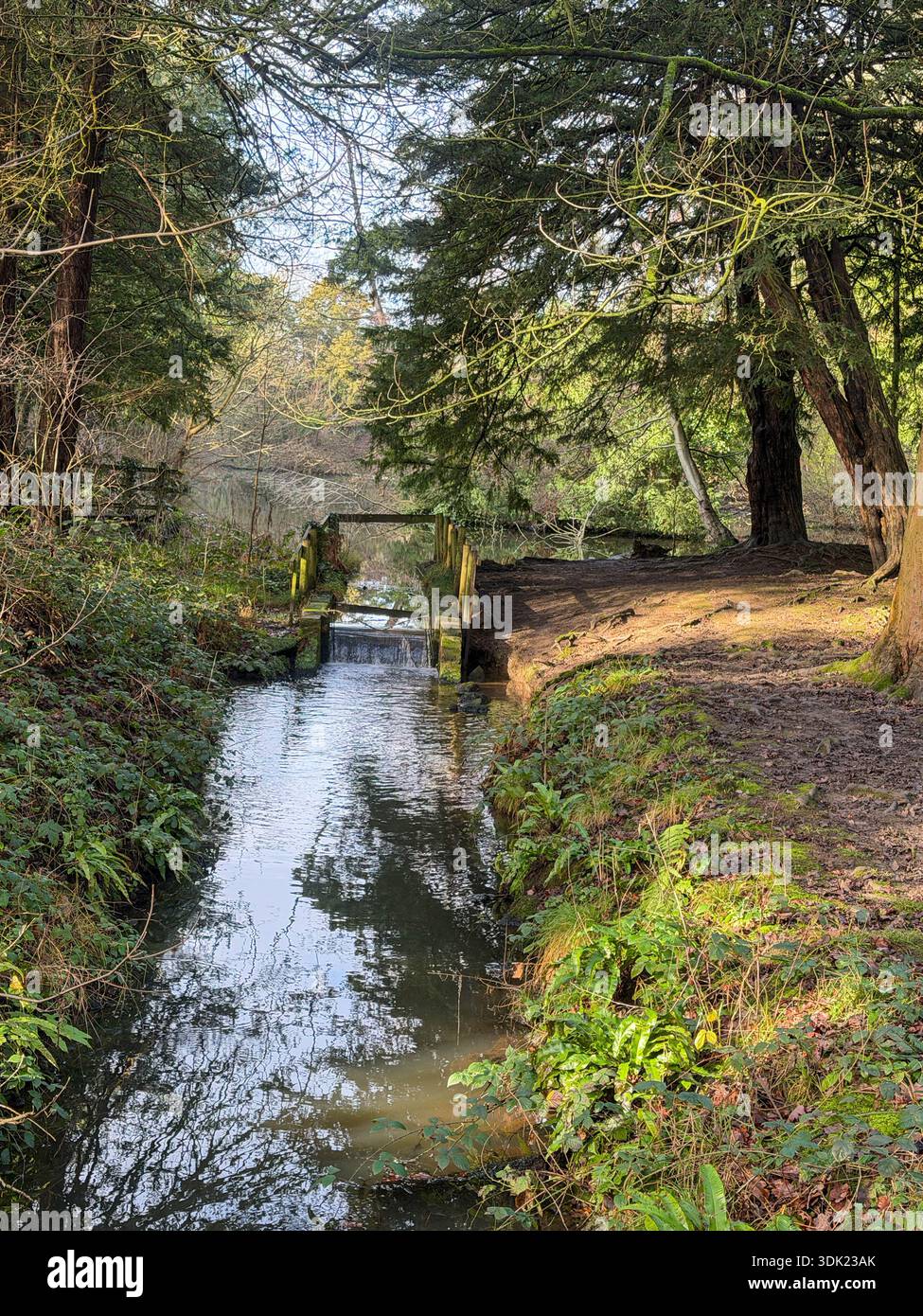 Elvaston Castle Country Park Derby.Derbyshire.Inghilterra .Regno Unito - Immagine stock catturata con smartphone