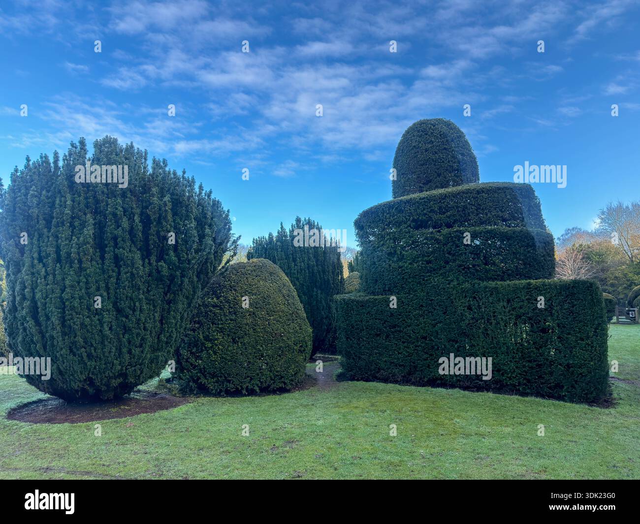 Elvaston Castle Country Park Topiary Gardens Derby.Derbyshire.Inghilterra .Regno Unito - Immagine stock catturata con smartphone