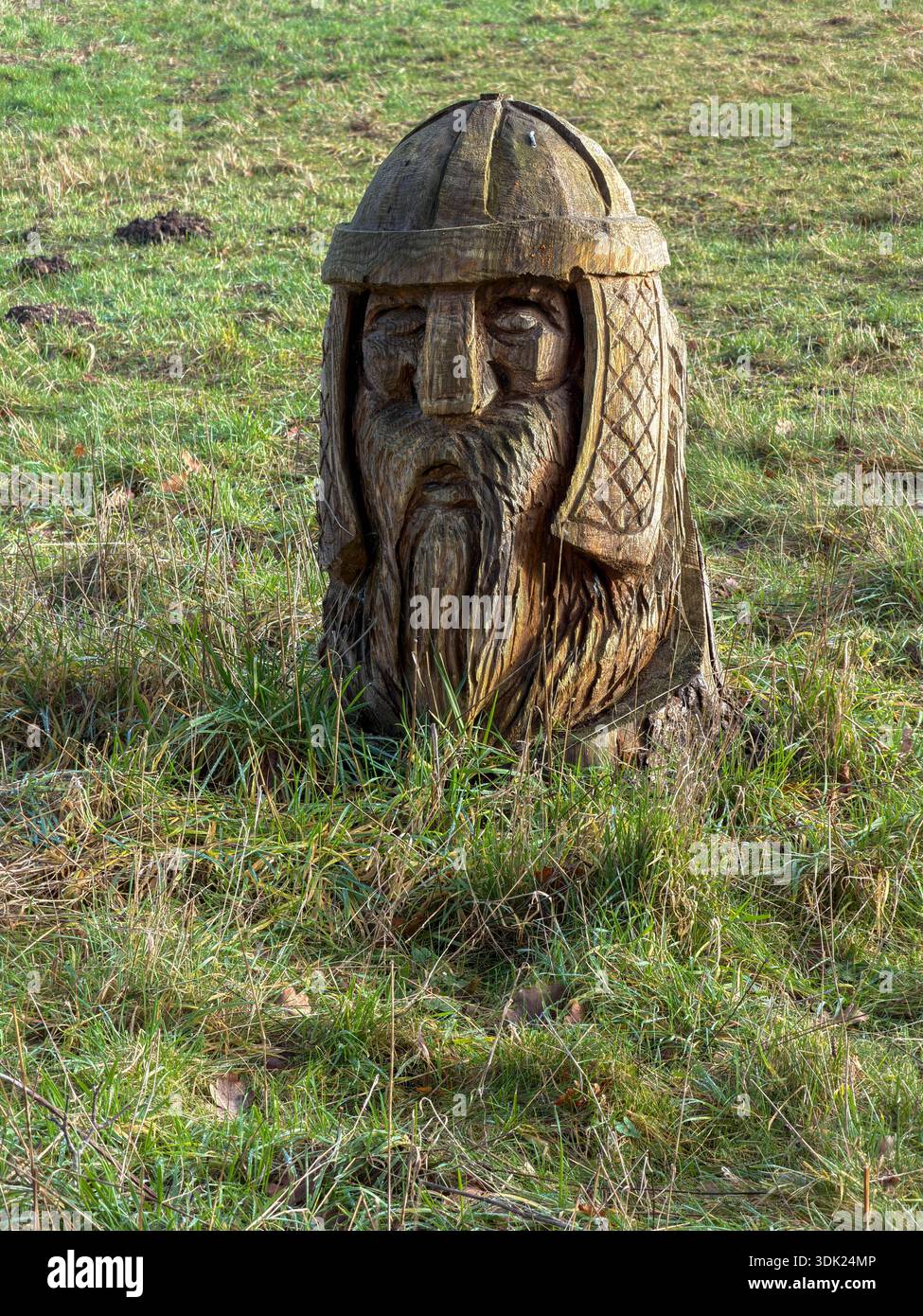 Elvaston Castle Country Park con sculture di alberi di Andrew Frost. Derby. Derbyshire. Inghilterra. Regno Unito - Immagine stock catturata con smartphone