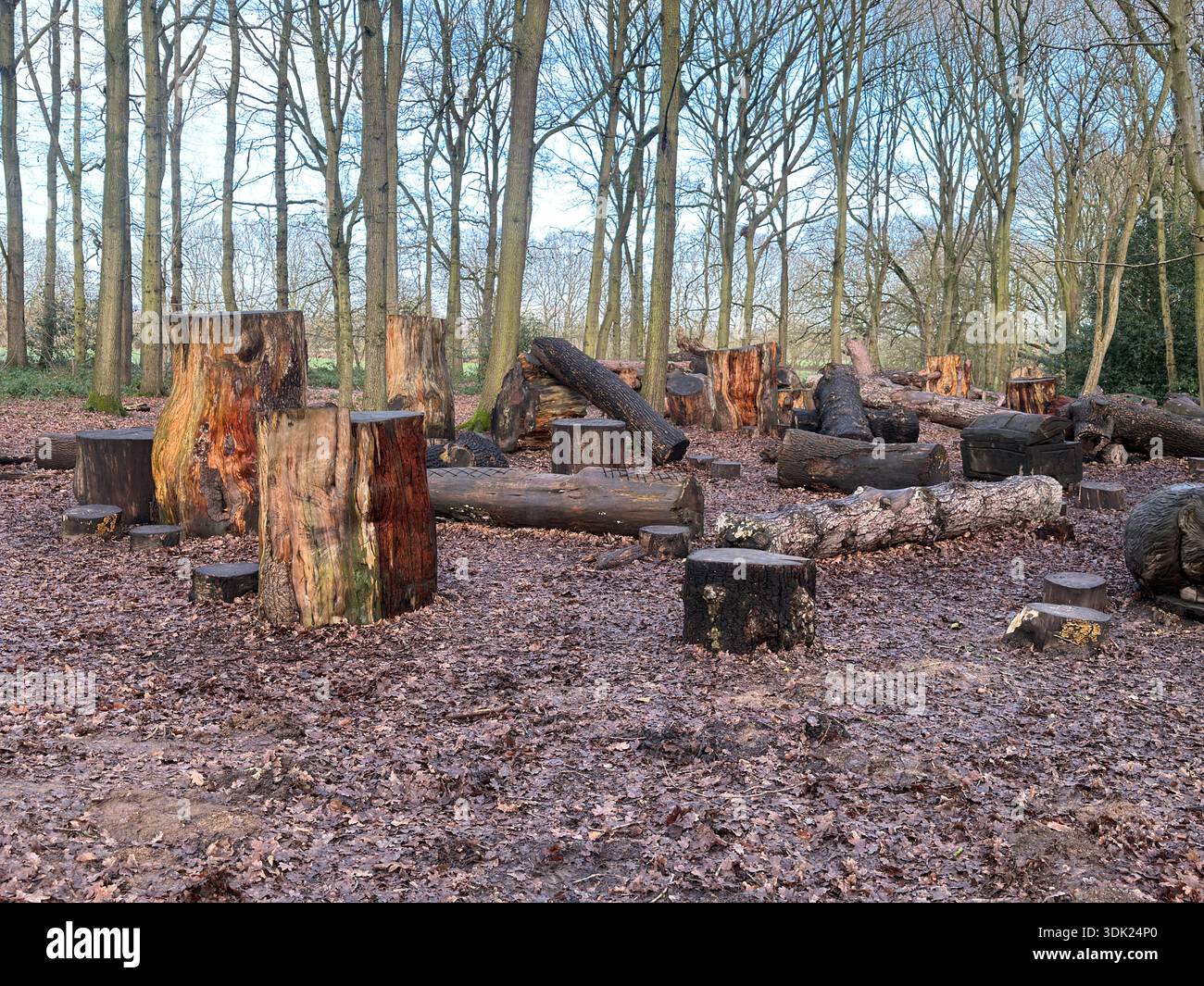 Elvaston Castle Country Park con sculture di alberi di Andrew Frost. Derby. Derbyshire. Inghilterra. Regno Unito - Immagine stock catturata con smartphone
