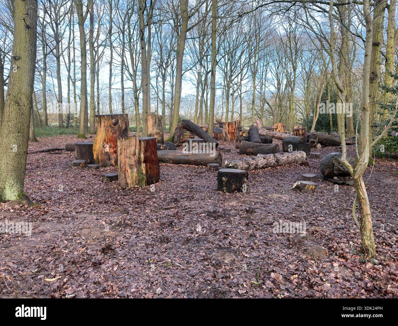 Elvaston Castle Country Park con sculture di alberi di Andrew Frost. Derby. Derbyshire. Inghilterra. Regno Unito - Immagine stock catturata con smartphone