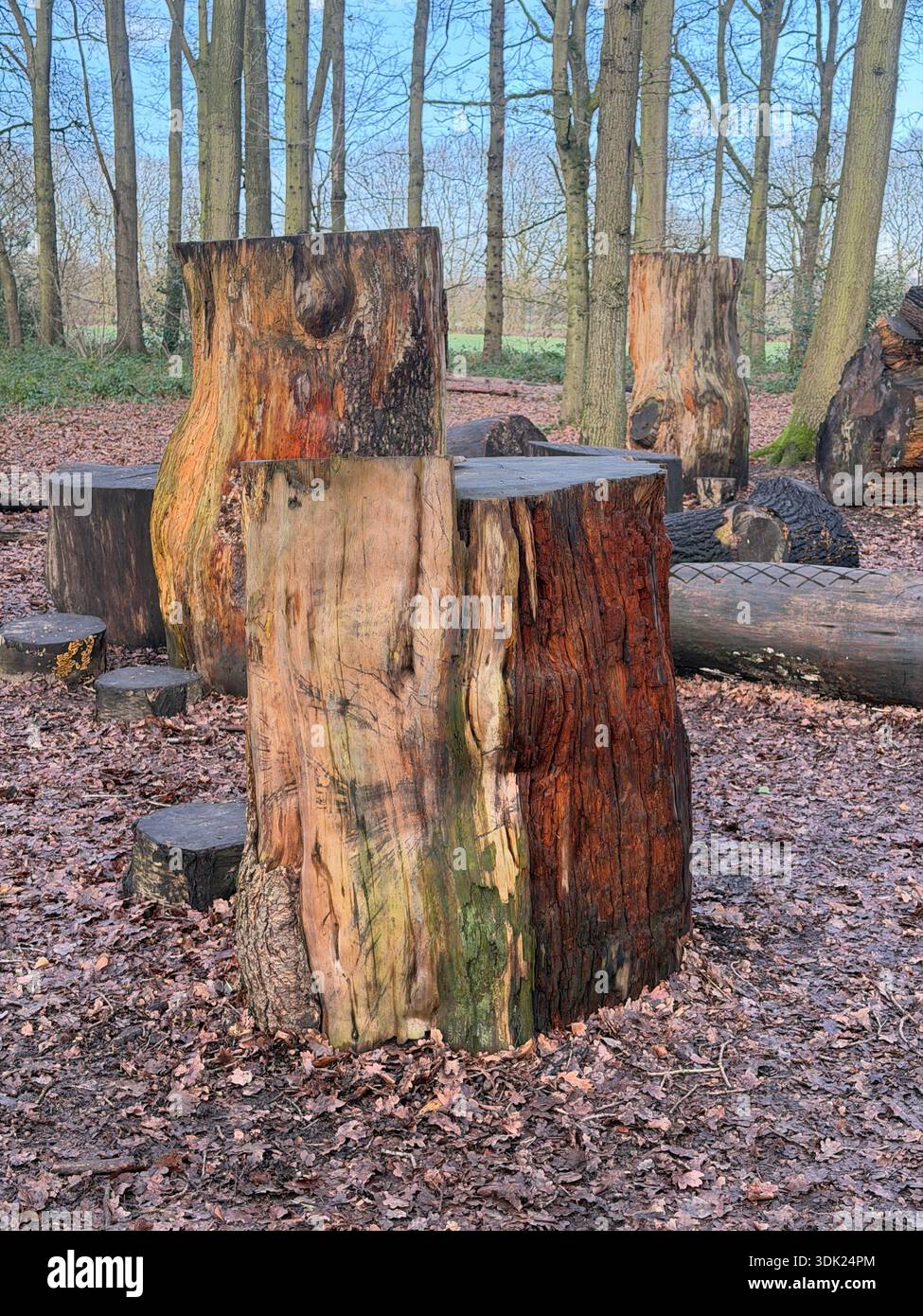 Elvaston Castle Country Park con sculture di alberi di Andrew Frost. Derby. Derbyshire. Inghilterra. Regno Unito - Immagine stock catturata con smartphone