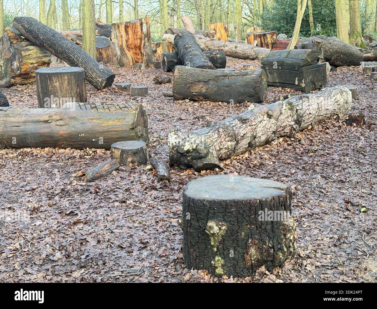 Elvaston Castle Country Park con sculture di alberi di Andrew Frost. Derby. Derbyshire. Inghilterra. Regno Unito - Immagine stock catturata con smartphone