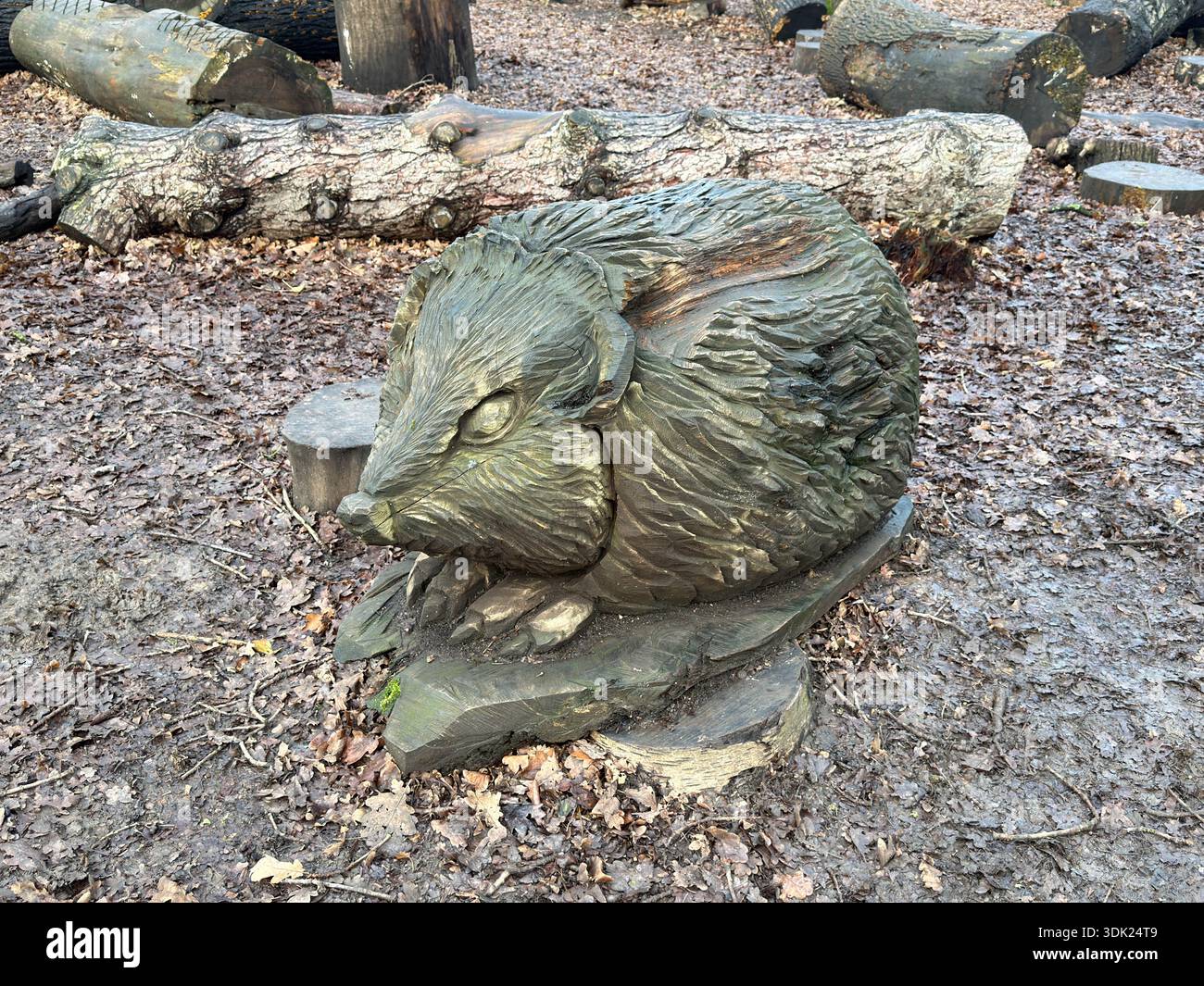 Elvaston Castle Country Park con sculture di alberi di Andrew Frost. Derby. Derbyshire. Inghilterra. Regno Unito - Immagine stock catturata con smartphone