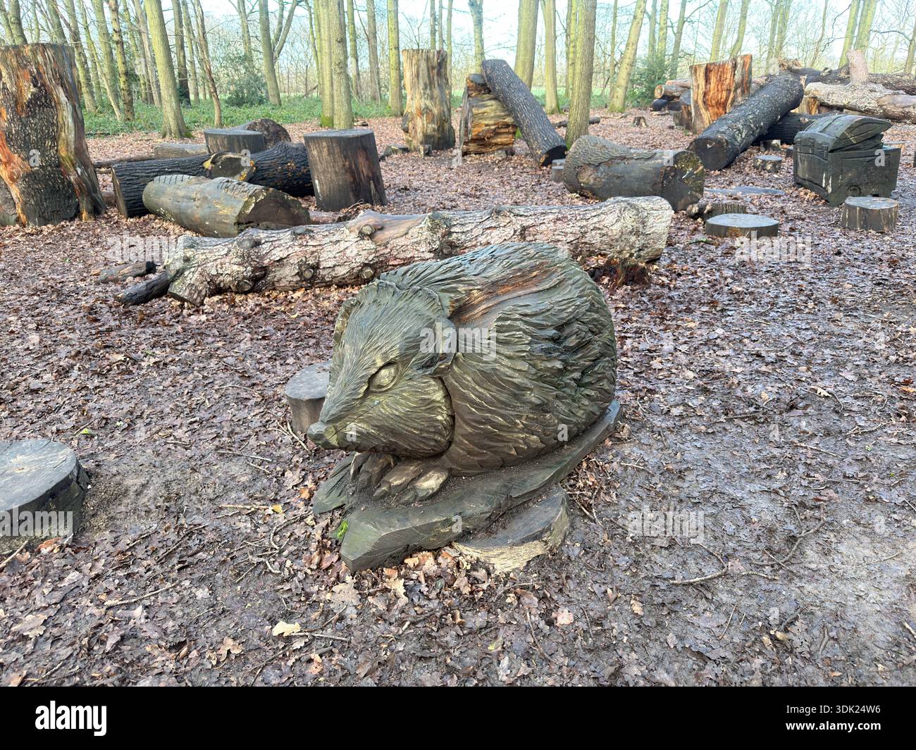Elvaston Castle Country Park con sculture di alberi di Andrew Frost. Derby. Derbyshire. Inghilterra. Regno Unito - Immagine stock catturata con smartphone