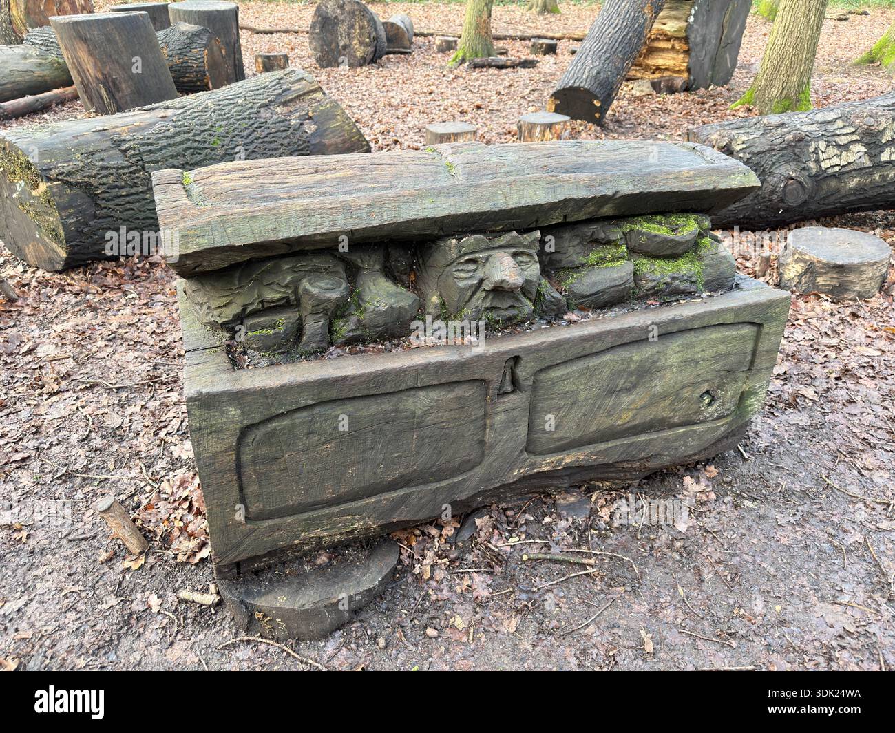 Elvaston Castle Country Park con sculture di alberi di Andrew Frost. Derby. Derbyshire. Inghilterra. Regno Unito - Immagine stock catturata con smartphone