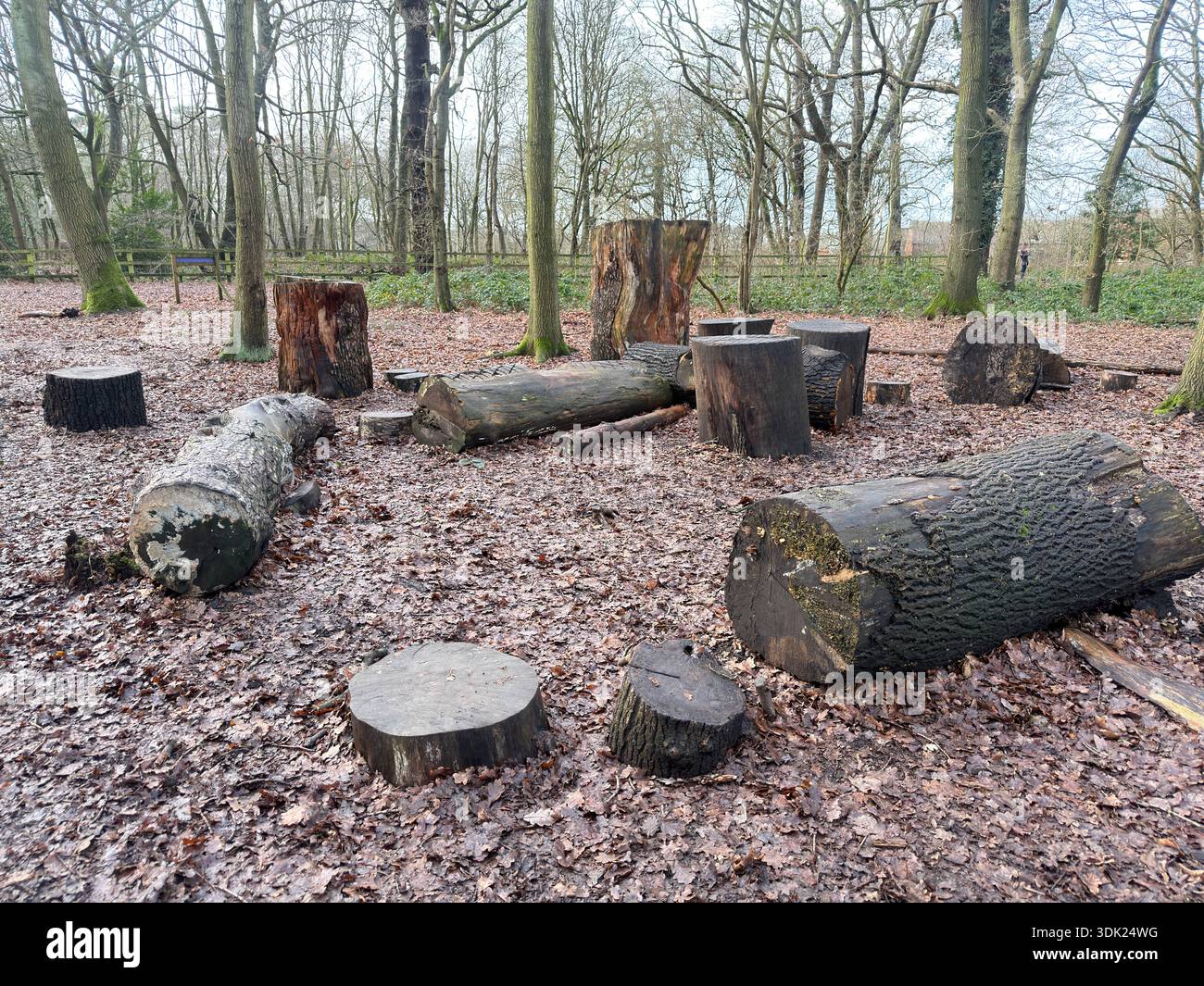 Elvaston Castle Country Park con sculture di alberi di Andrew Frost. Derby. Derbyshire. Inghilterra. Regno Unito - Immagine stock catturata con smartphone