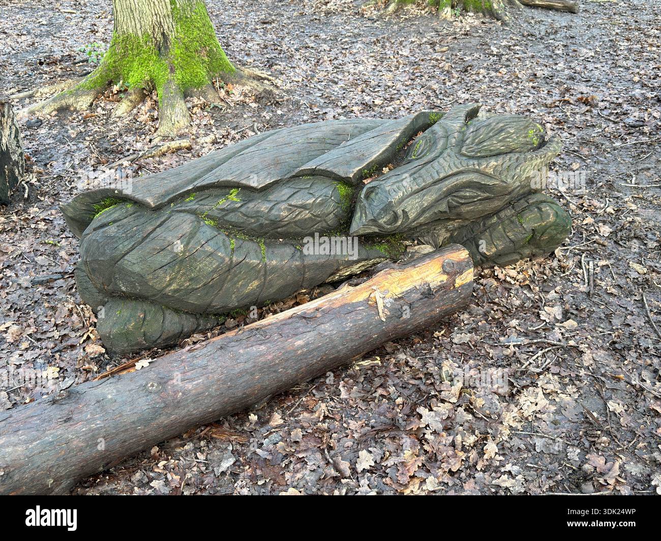 Elvaston Castle Country Park con sculture di alberi di Andrew Frost. Derby. Derbyshire. Inghilterra. Regno Unito - Immagine stock catturata con smartphone