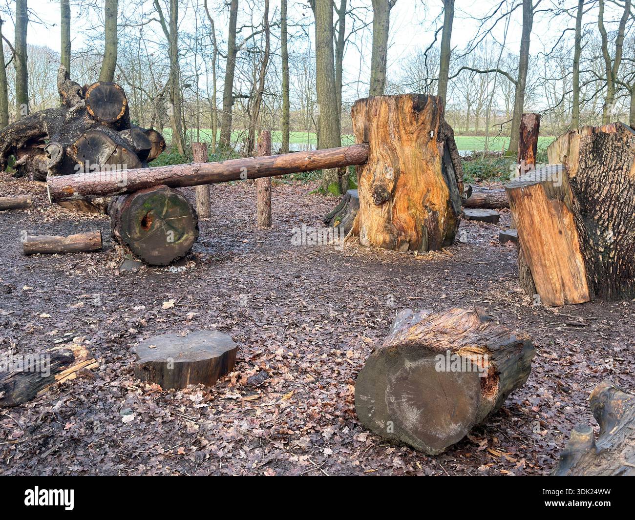 Elvaston Castle Country Park con sculture di alberi di Andrew Frost. Derby. Derbyshire. Inghilterra. Regno Unito - Immagine stock catturata con smartphone