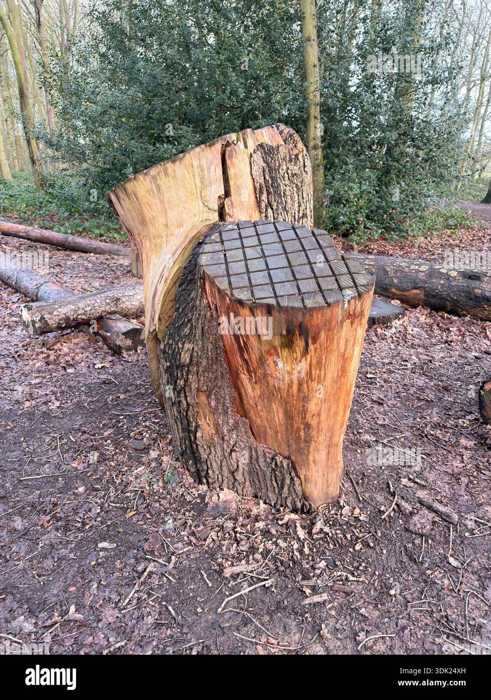 Elvaston Castle Country Park con sculture di alberi di Andrew Frost. Derby. Derbyshire. Inghilterra. Regno Unito - Immagine stock catturata con smartphone