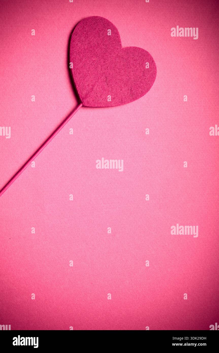 Un singolo cuore rosa su un bastoncino su uno sfondo morbido, amore minimalista e concetto di San Valentino Foto Stock