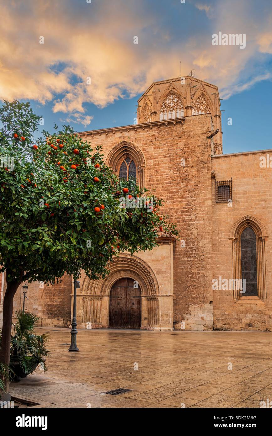 Cattedrale, Valencia, Comunità Valenciana, Spagna Foto Stock