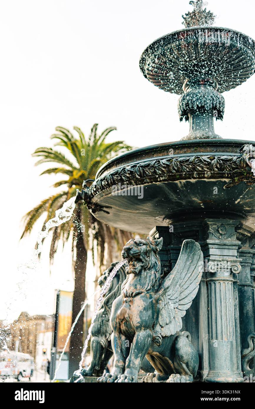 Fonte dos Leões, o Fontana dei leoni, presenta quattro statue di leoni alati e si trova a Prac de Gomes Teixeira, quartiere Vitoria, Porto, Portogallo Foto Stock