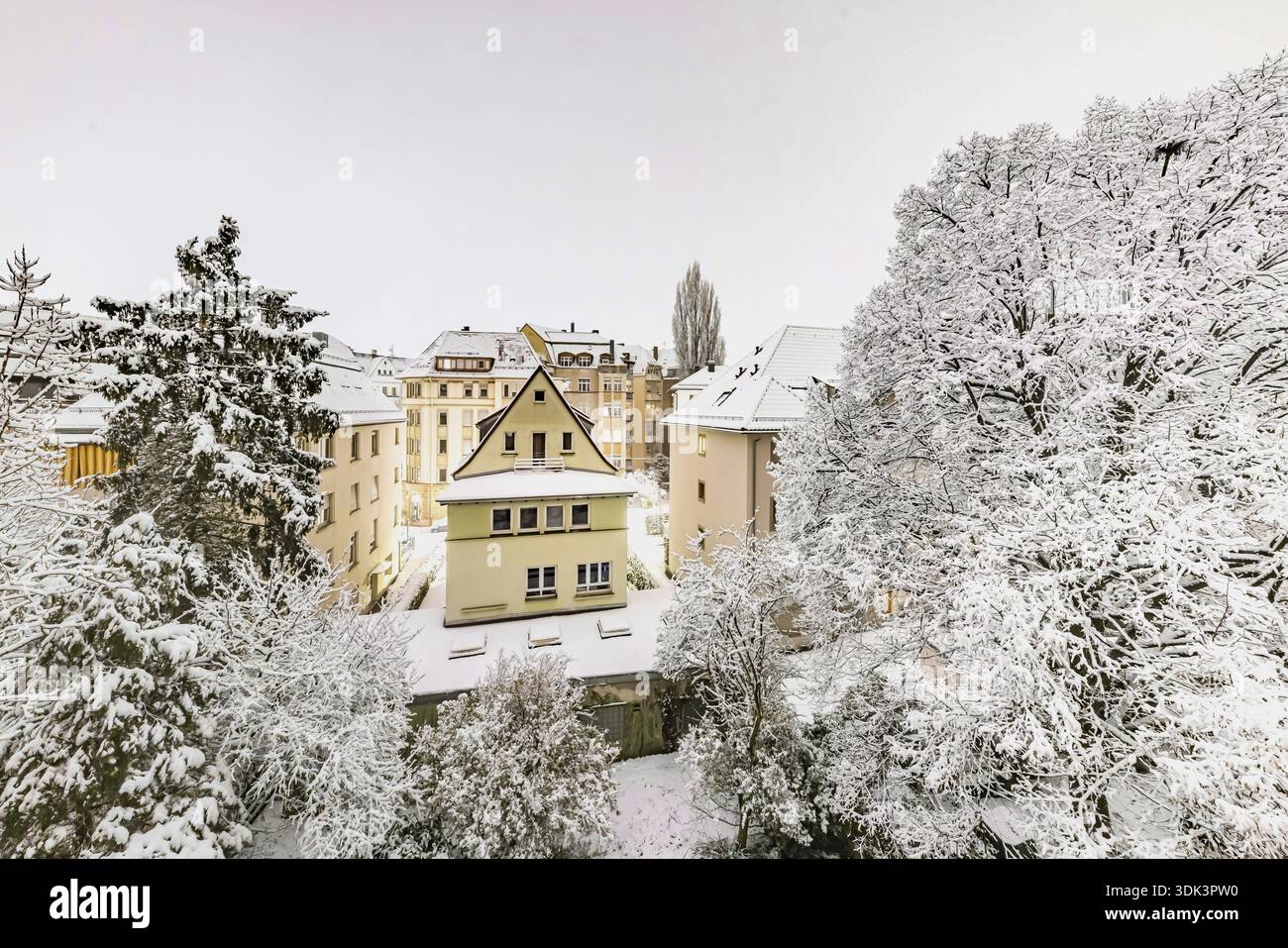 Nevicava. C'è neve in un giardino con grandi alberi. Stoccarda, Baden-Wuerttemberg, Germania Foto Stock