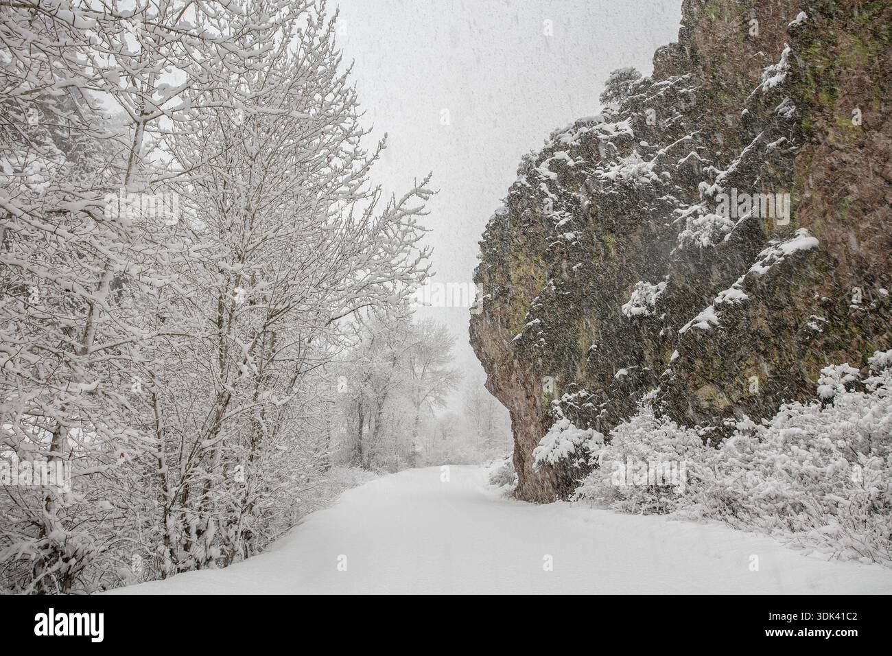 Strada innevata in montagna Foto Stock