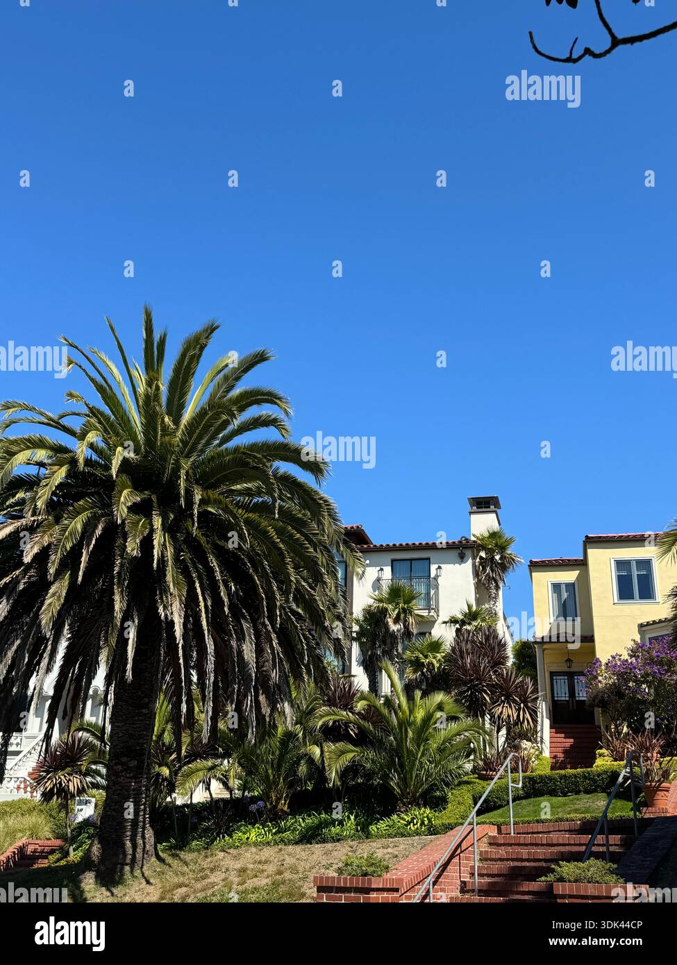 Palme e case in stile mediterraneo sotto il cielo azzurro a San Francisco, California, Stati Uniti. Foto Stock