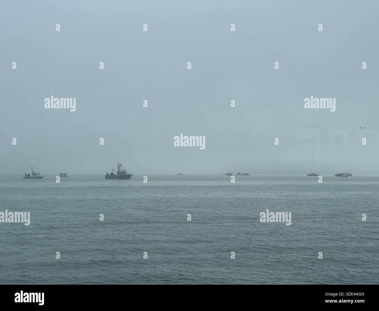 Navi sul mare calmo sotto il cielo nebuloso, paesaggio marittimo minimalista con spazio per copiare. - Immagine stock catturata con smartphone