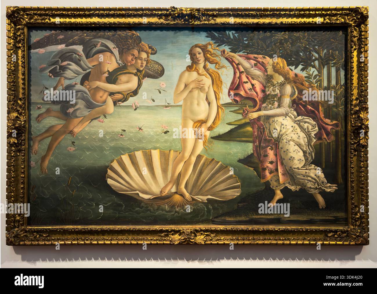 L'iconico dipinto rinascimentale di Sandro Botticelli, la nascita di Venere, nel Museo degli Uffizi di Firenze, Italia Foto Stock