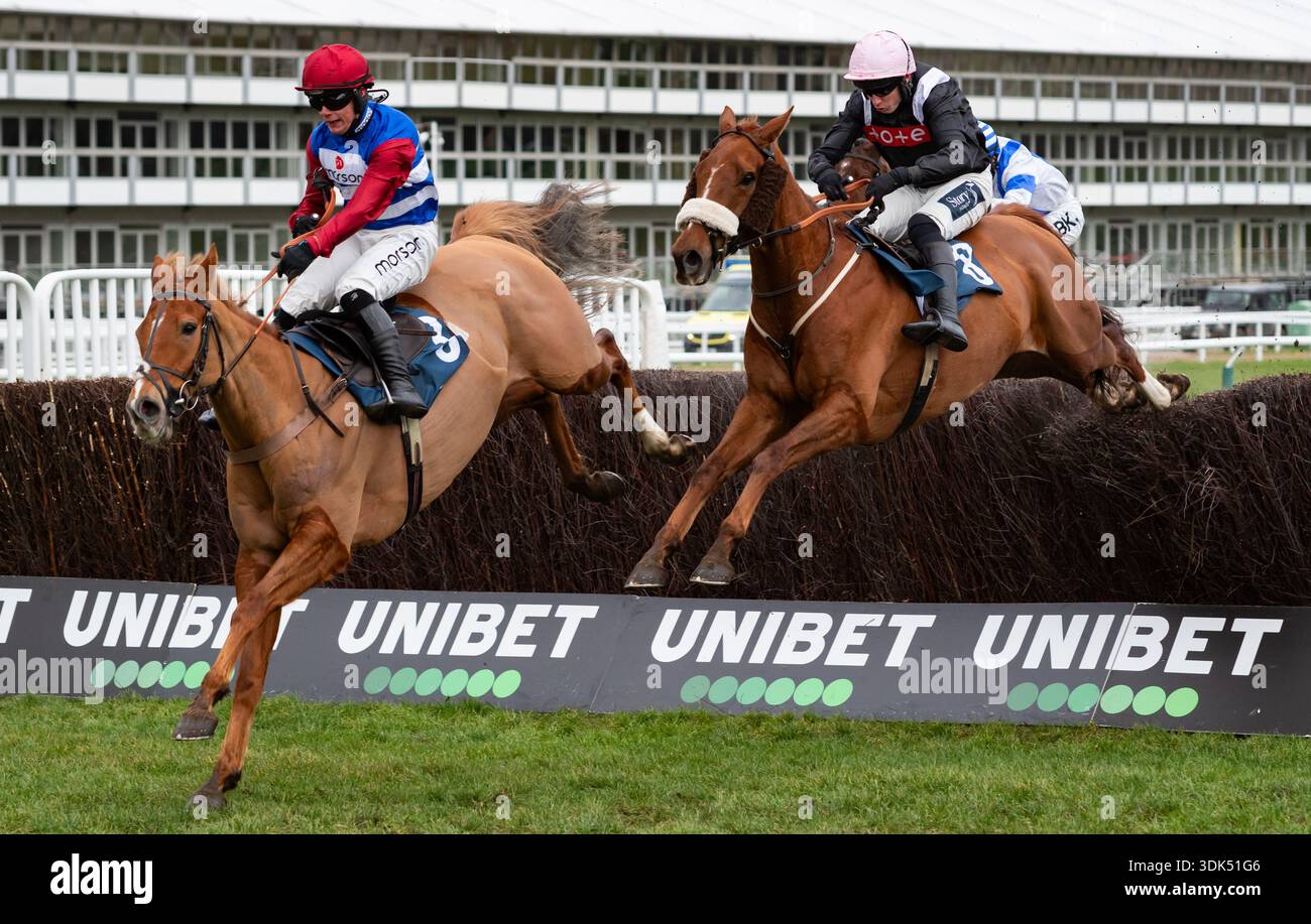 Quebecois e Scorcese sono ritratti all'ippodromo di Cheltenham, 24/01/26. Crediti JTW equine Images / Alamy. Foto Stock