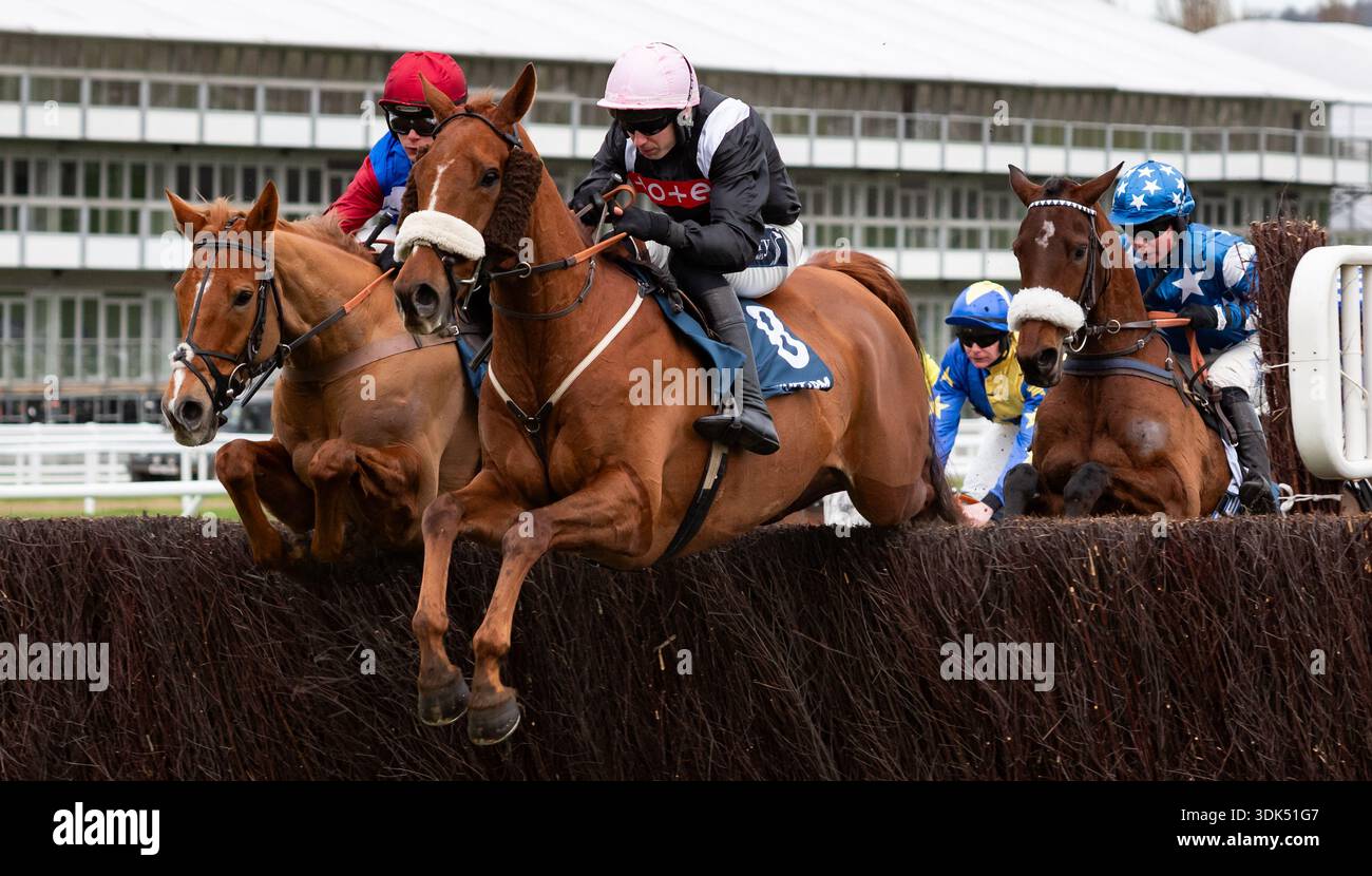 Quebecois e Scorcese sono ritratti all'ippodromo di Cheltenham, 24/01/26. Crediti JTW equine Images / Alamy. Foto Stock