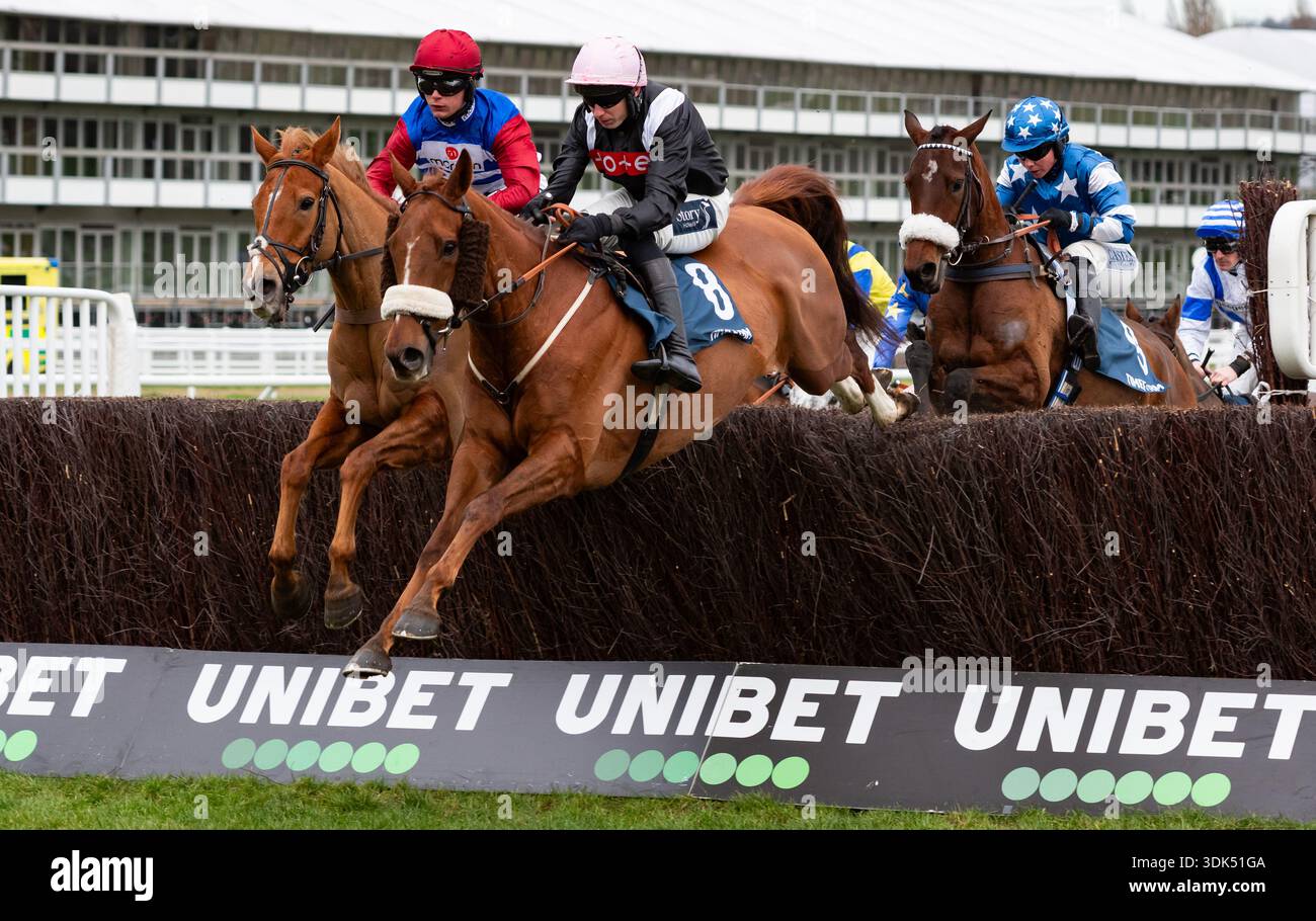 Quebecois e Scorcese sono ritratti all'ippodromo di Cheltenham, 24/01/26. Crediti JTW equine Images / Alamy. Foto Stock