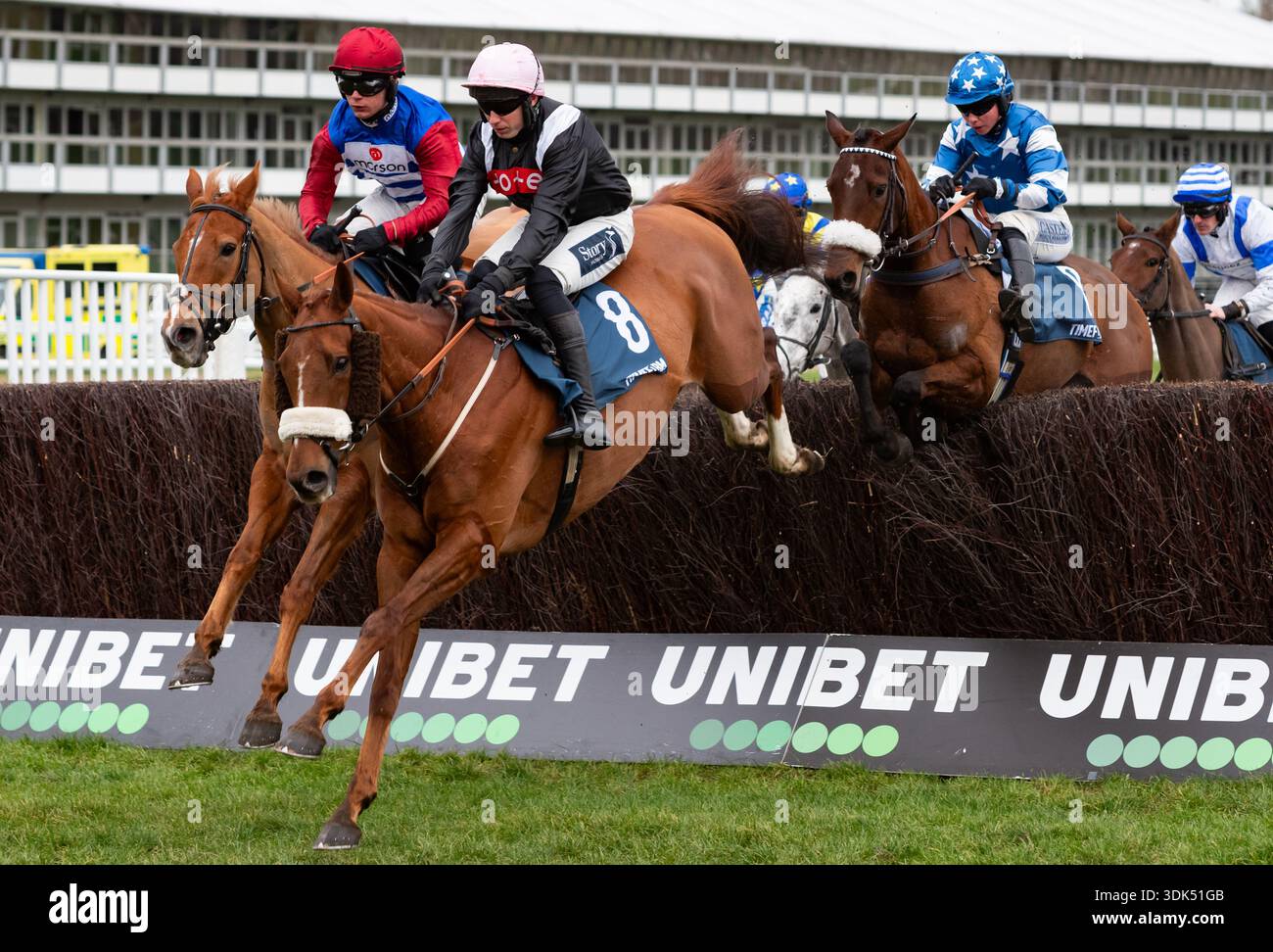 Quebecois e Scorcese sono ritratti all'ippodromo di Cheltenham, 24/01/26. Crediti JTW equine Images / Alamy. Foto Stock