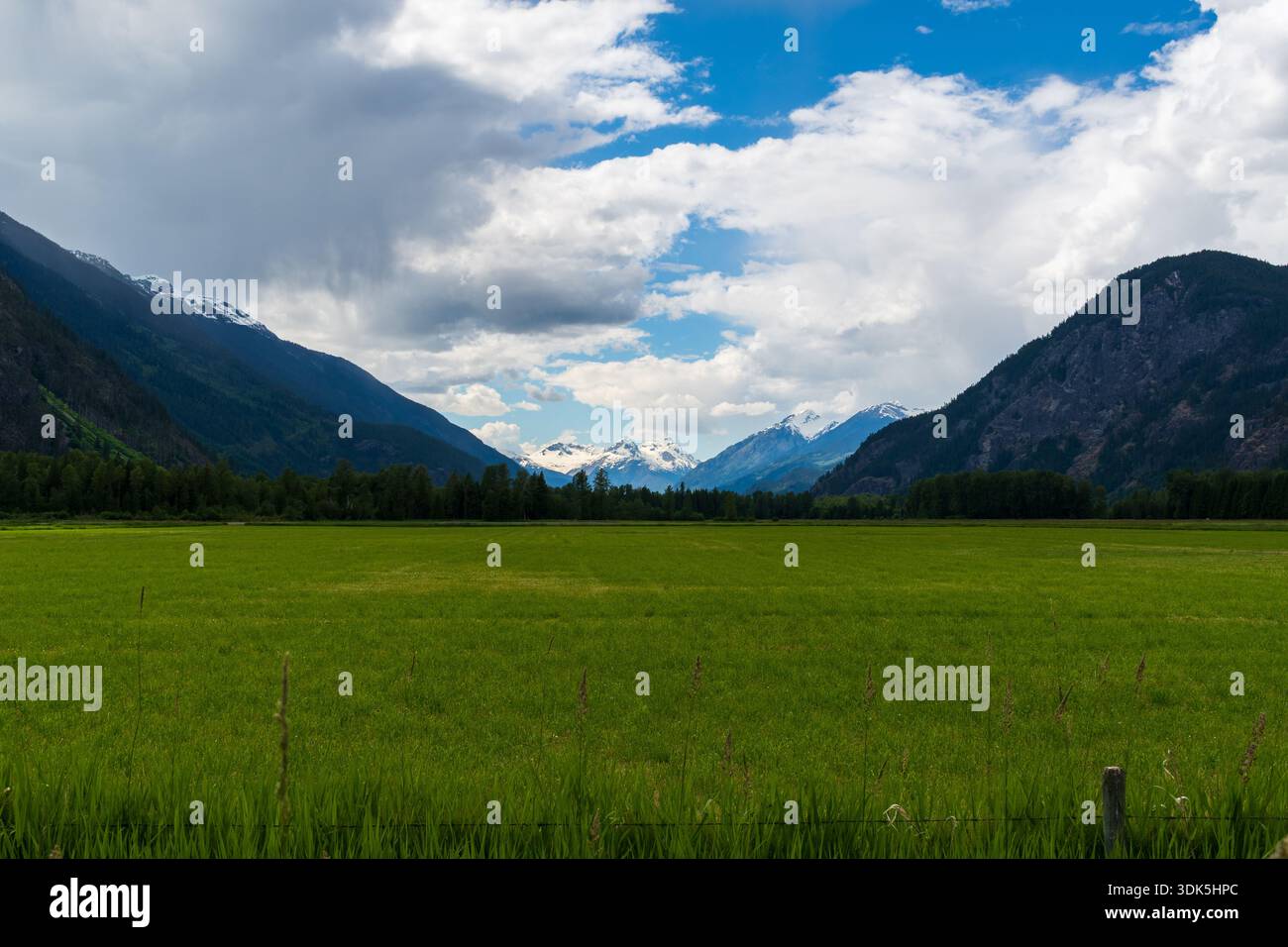 Un tranquillo prato verde vicino a Pemberton, British Columbia, è delimitato da una recinzione rustica, con pendii boscosi che si innalzano in lontananza sotto un cielo parzialmente nuvoloso. Foto Stock
