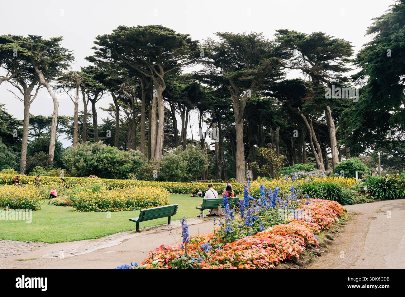 Gli amanti del parco apprezzano il giardino fiorito nel parco pubblico di San Francisco Foto Stock