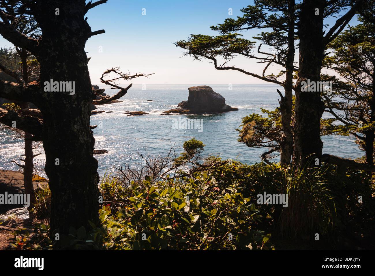 Cape Flattery, Neah Bay, Makah Indian Reservation, vista della costa e delle rocce al largo. Foto Stock