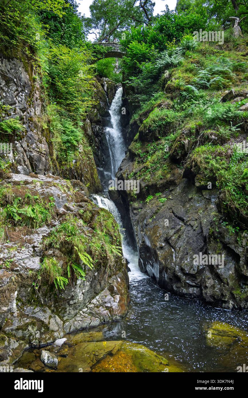 Cascata Aira Force. Parco nazionale del Lake District. Foto Stock