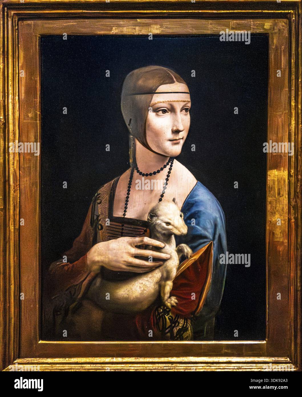 Lady con un Ermine, primo ritratto di Leonardo da Vinci, intorno al 1489, olio su legno, ritratto di Ceciila Gallerani, amante del duca milanese Ludovico Foto Stock