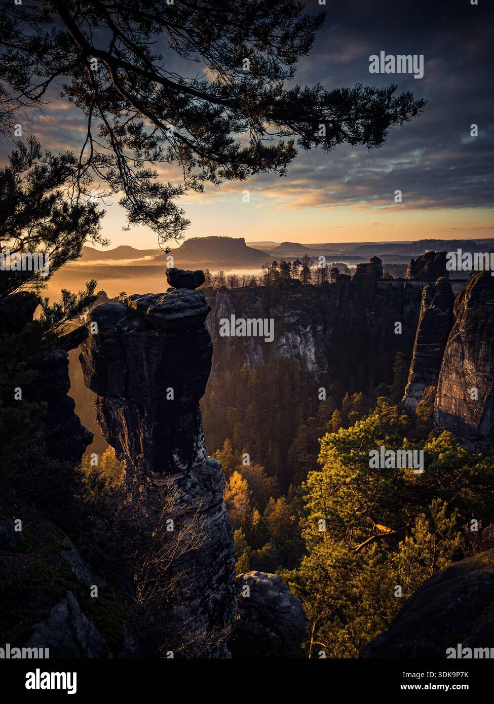 Alba su pinnacoli di arenaria e una valle boscosa, incorniciata da rami di pini. Foto Stock