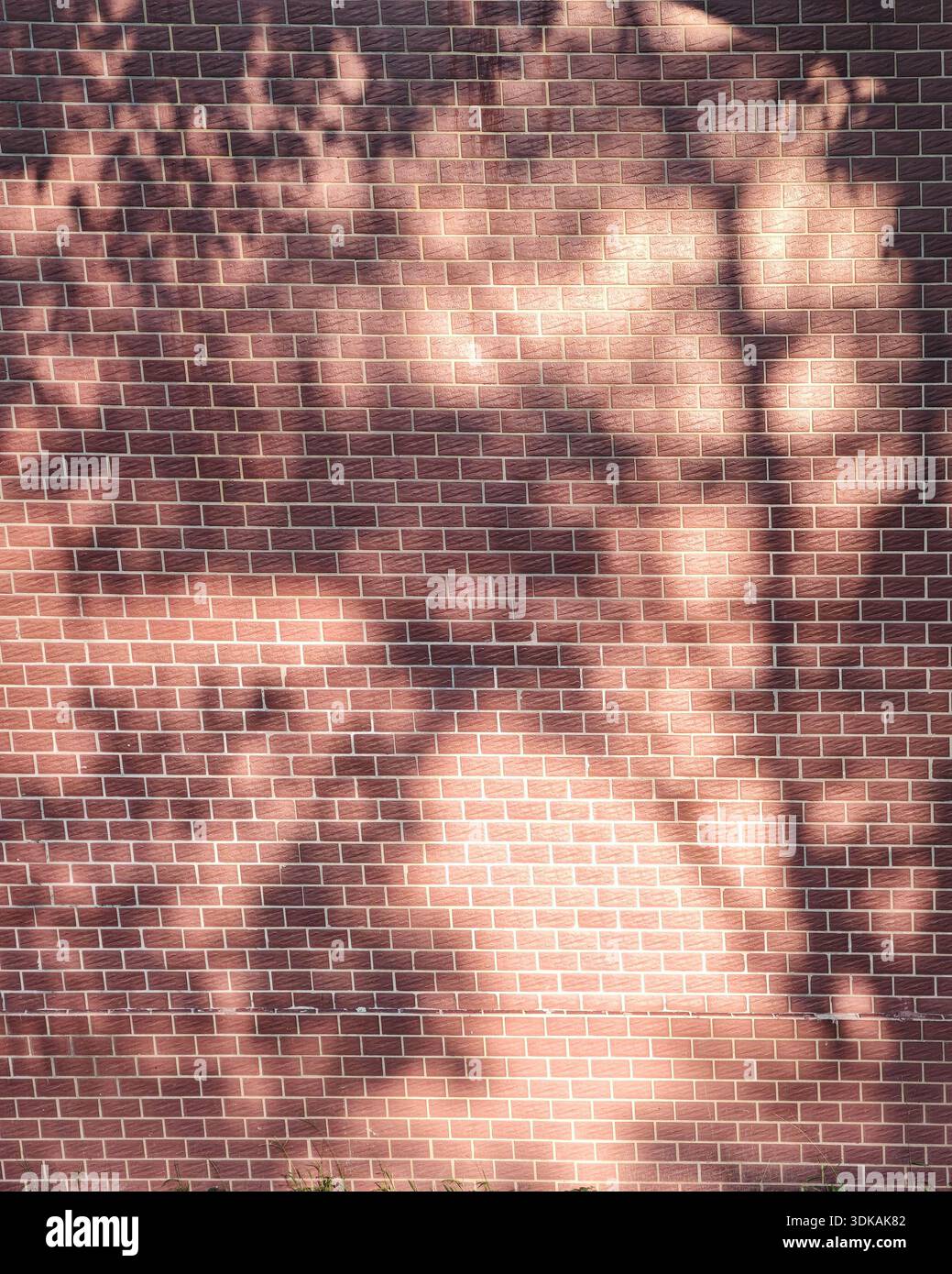 Texture di fondo di una classica parete in mattoni rossi illuminata dalla luce del sole con ombre dappate dalle foglie di alberi, motivo estetico. Foto Stock