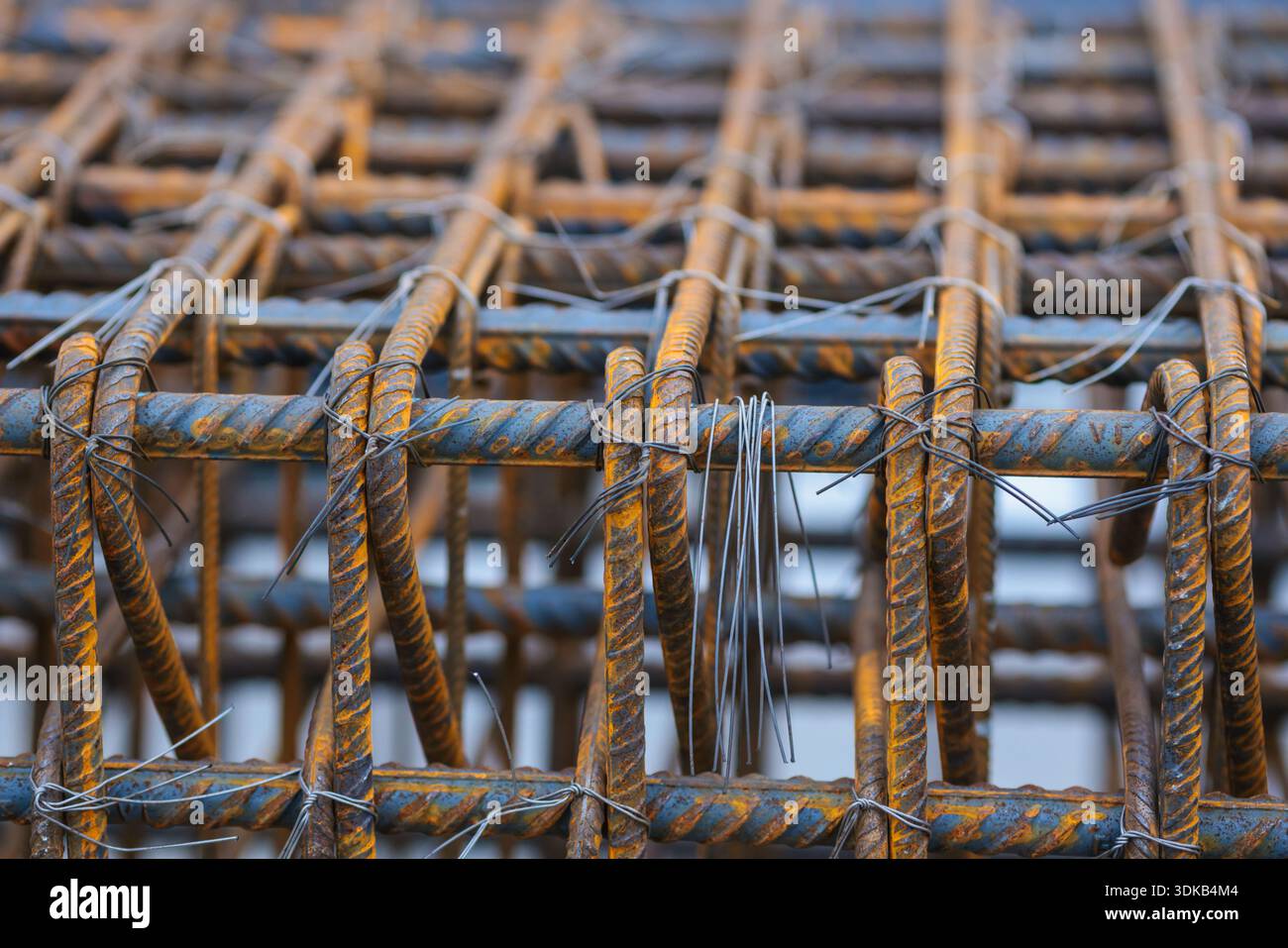 Dettagli della profondità di campo bassa (messa a fuoco selettiva) con barre di rinforzo (armature) in cantiere. Foto Stock