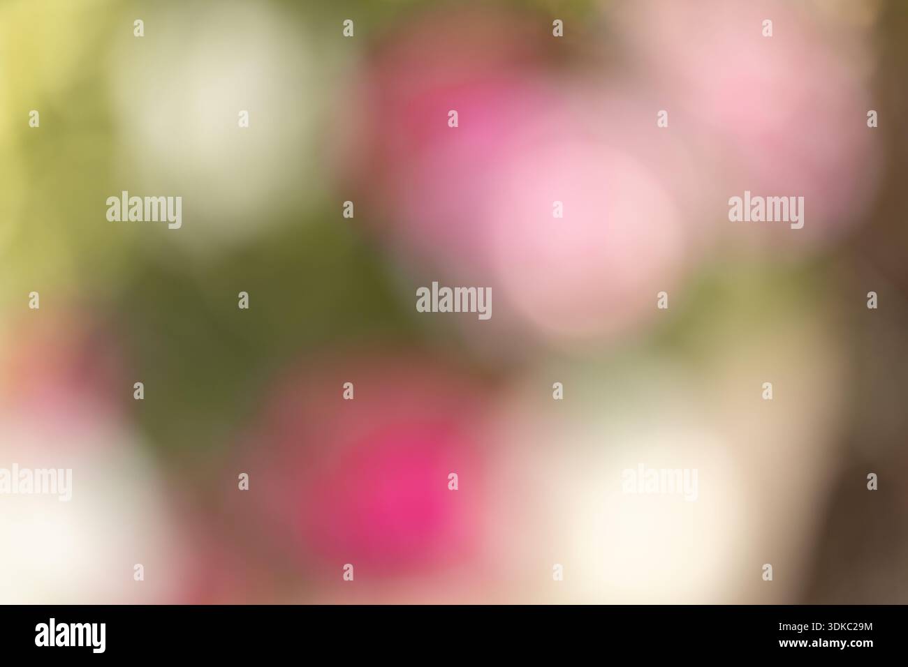 Immagine floreale astratta fuori fuoco con sfumature di colore morbide e texture naturali a petali Foto Stock