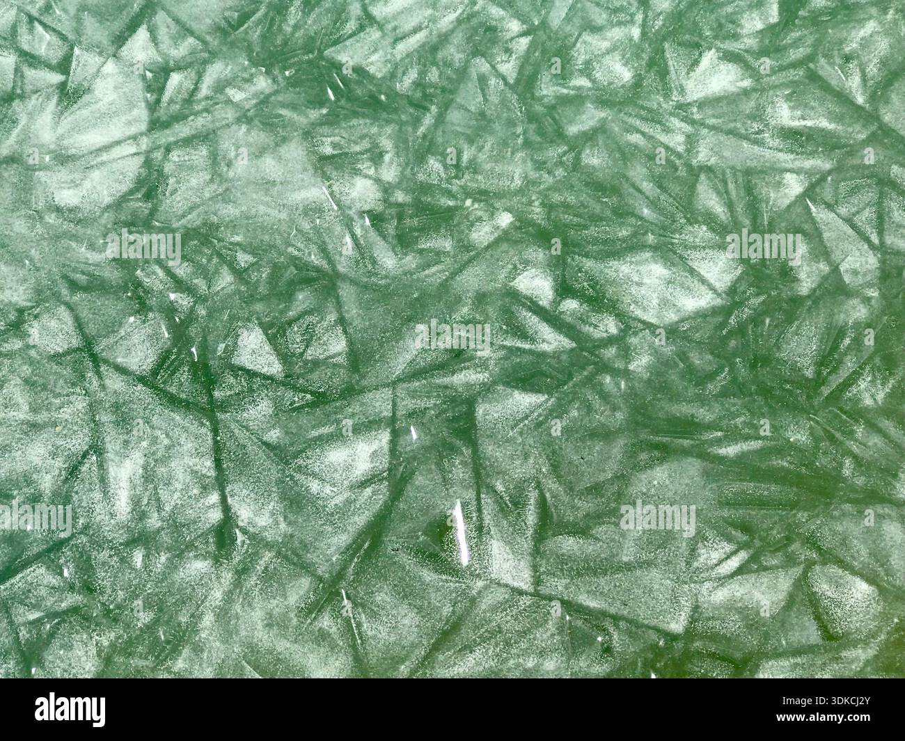 Primo piano di una superficie d'acqua ghiacciata su un lago alpino svizzero, che presenta strutture di ghiaccio astratte formate in modo naturale in tenui toni verde smeraldo e bianco. Foto Stock