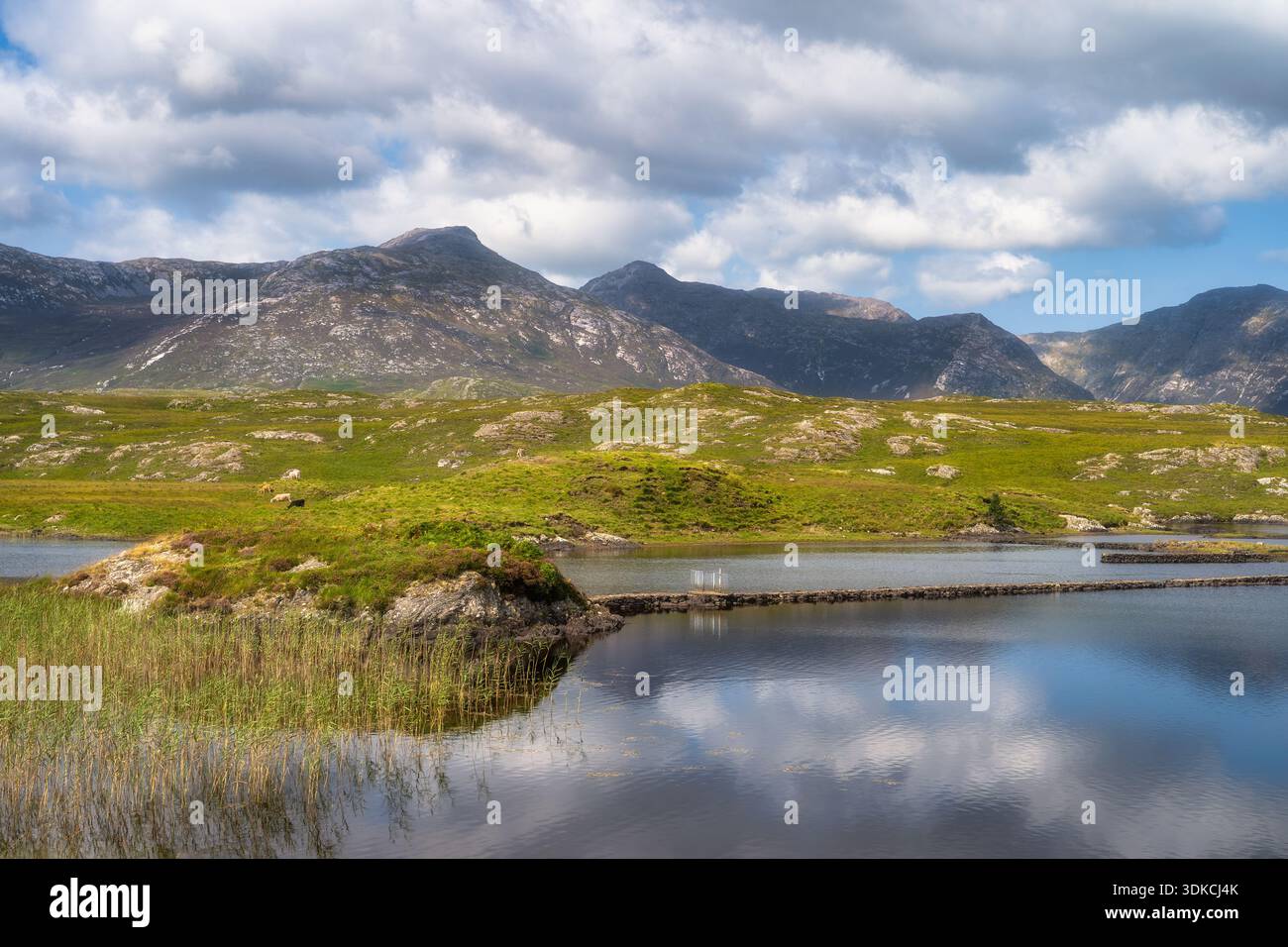 Cresta di montagna che si affaccia su paludi riflettenti accanto al punto panoramico di Pine Island a Connemara Galway, Irlanda. Piscine poco profonde e ombrocche erbose in primo piano. Pendenze rocciose ruvide e paesaggio roccioso basso Foto Stock