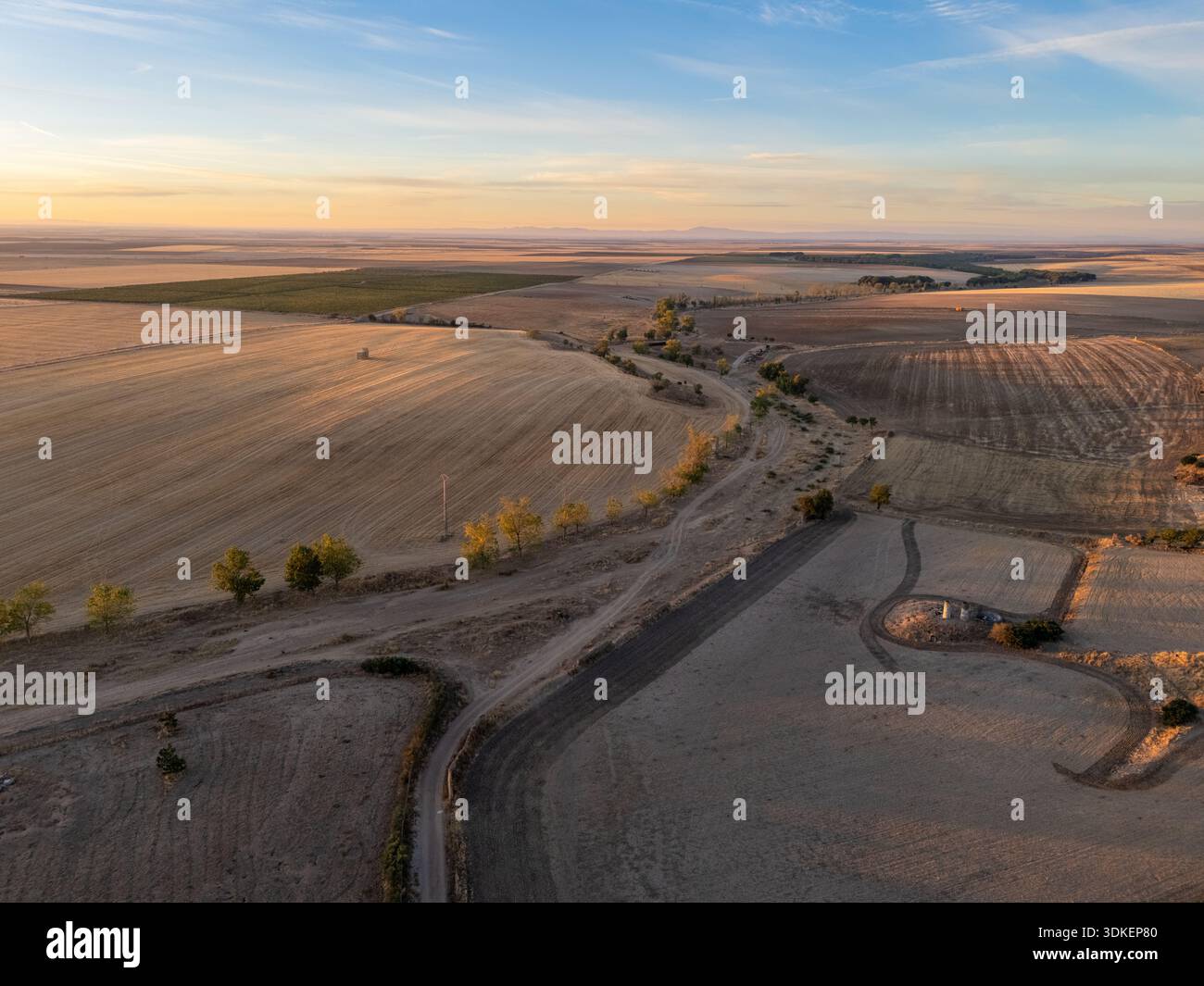 Tramonto dorato su terreni agricoli rotabili con strade sterrate e campi, vista aerea della campagna rurale, Alaejos, Castiglia e Leon, Spagna Foto Stock
