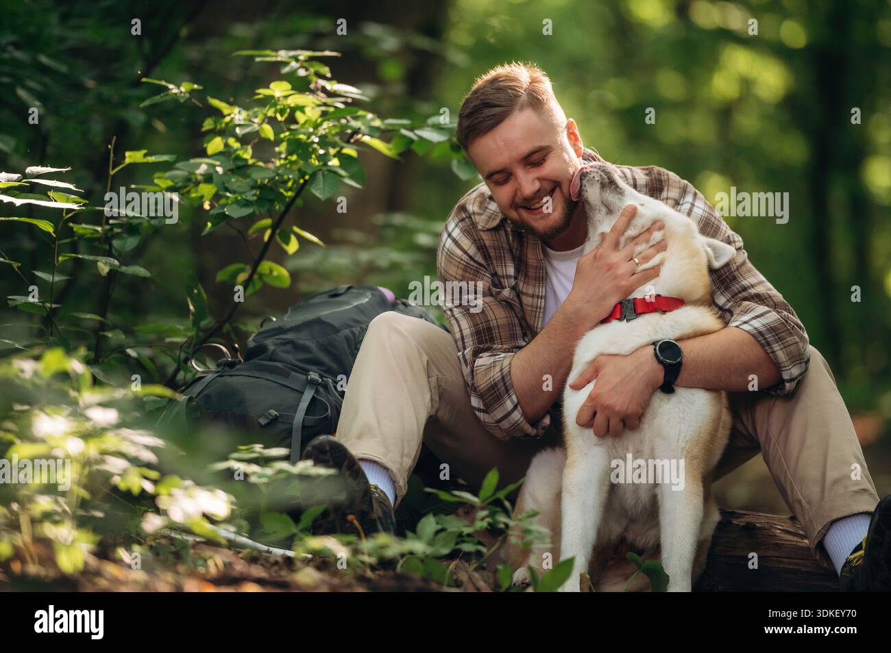 Il proprietario dell'animale è felice, gioca con lui. L'uomo turista è con il suo cane nella foresta. Foto Stock
