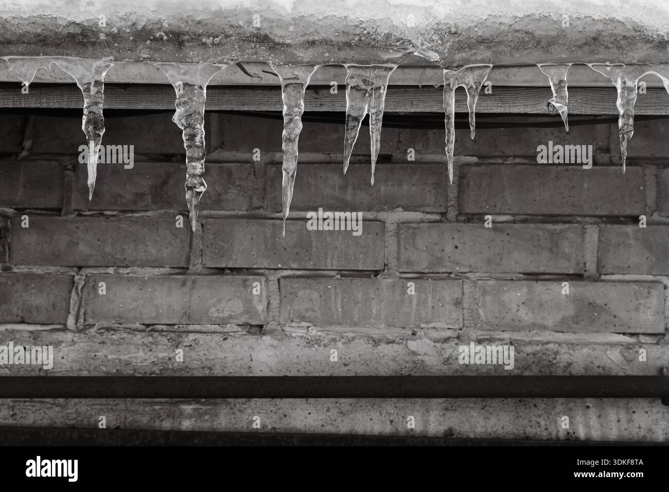 Ghiaccio sul tetto, bianco e nero. Tempo invernale nei dettagli. Fondo di ghiaccio e ghiaccio. Sciogliere i ghiaccioli. Ghiaccioli lunghi e appuntiti. Acqua congelata. Foto Stock